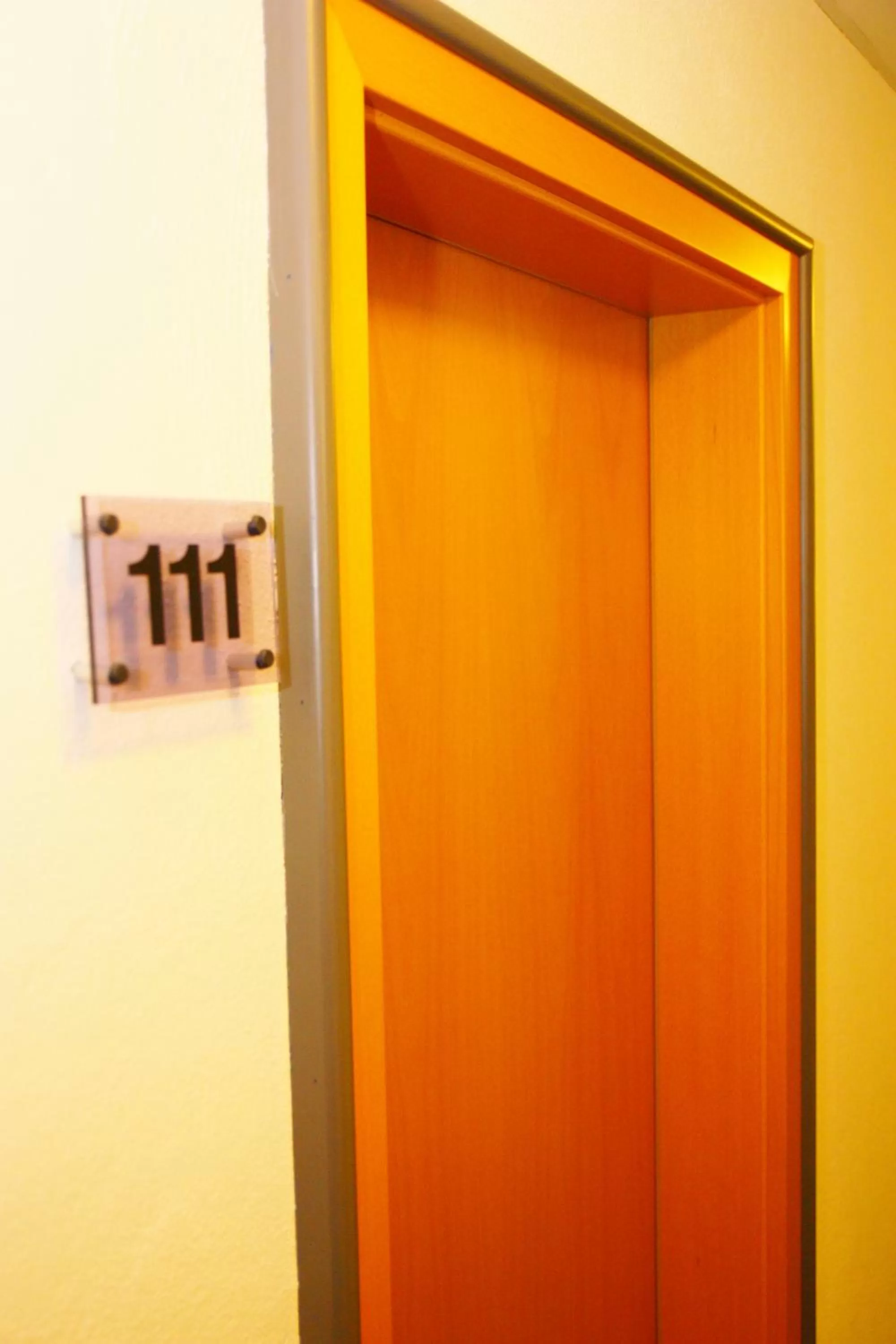 Decorative detail in Hotel am Schloss