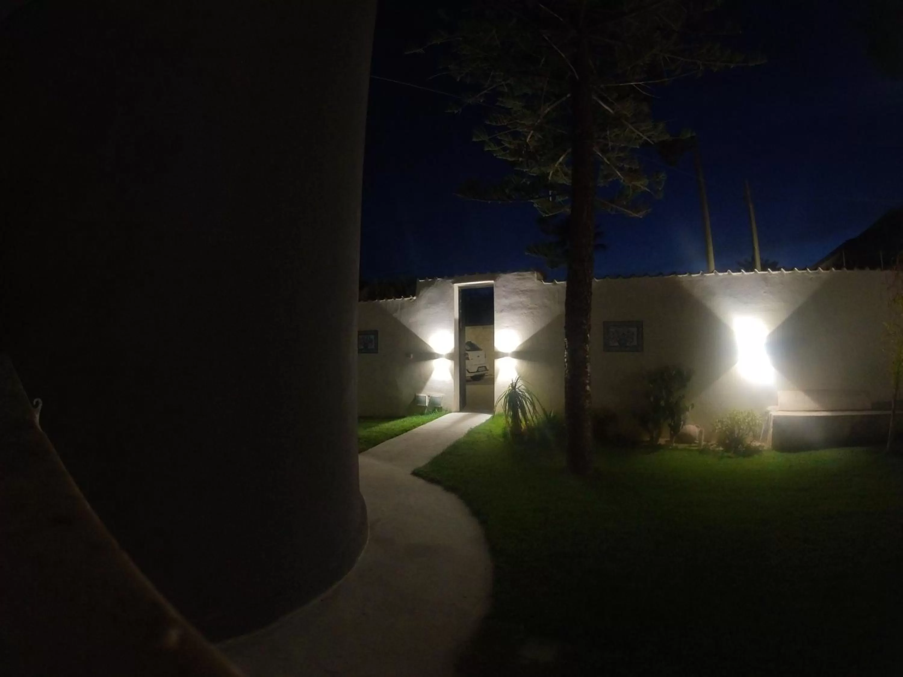 Garden in Deep Sea Residence