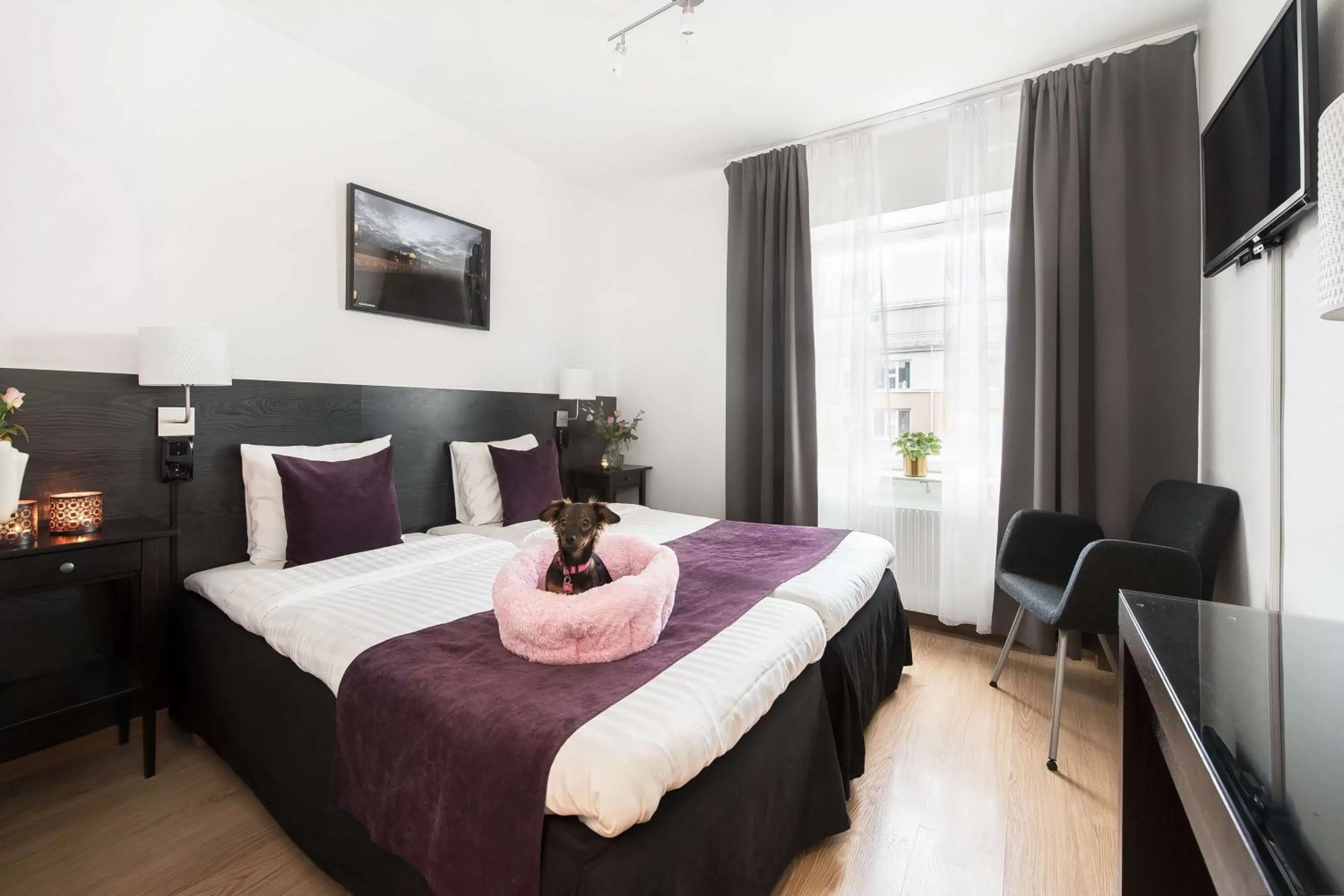 Photo of the whole room, Bed in Best Western Hotel City Gavle