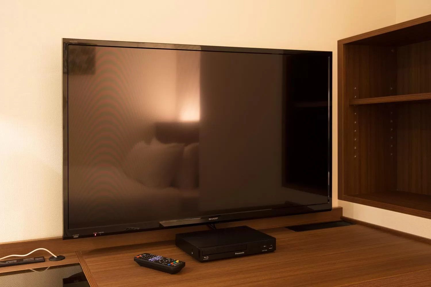 TV and multimedia in HOTEL FORZA HAKATAEKI CHIKUSHI-GUCHI Ⅰ