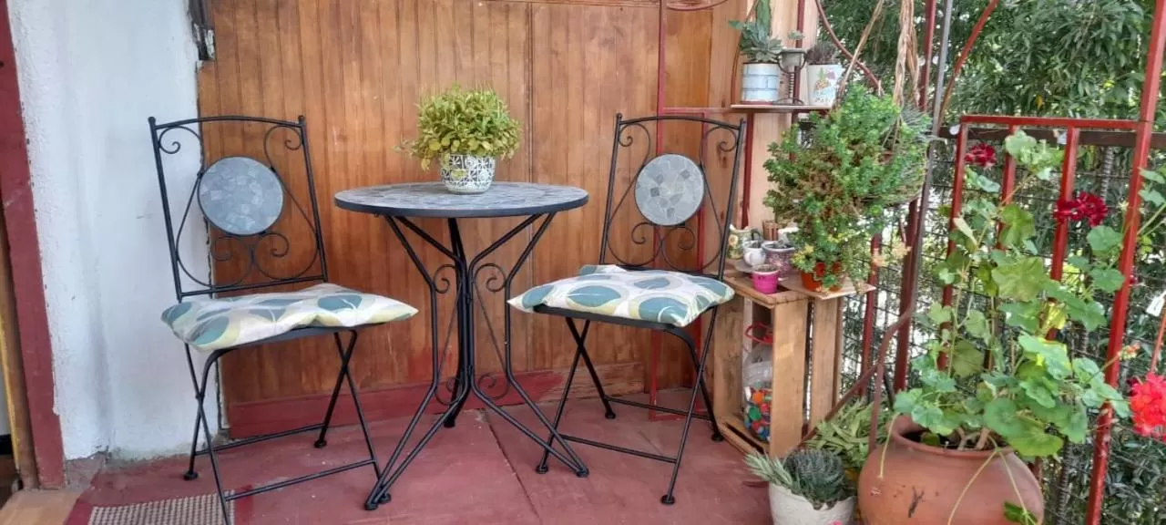 Garden in Hostal Destino Bellavista