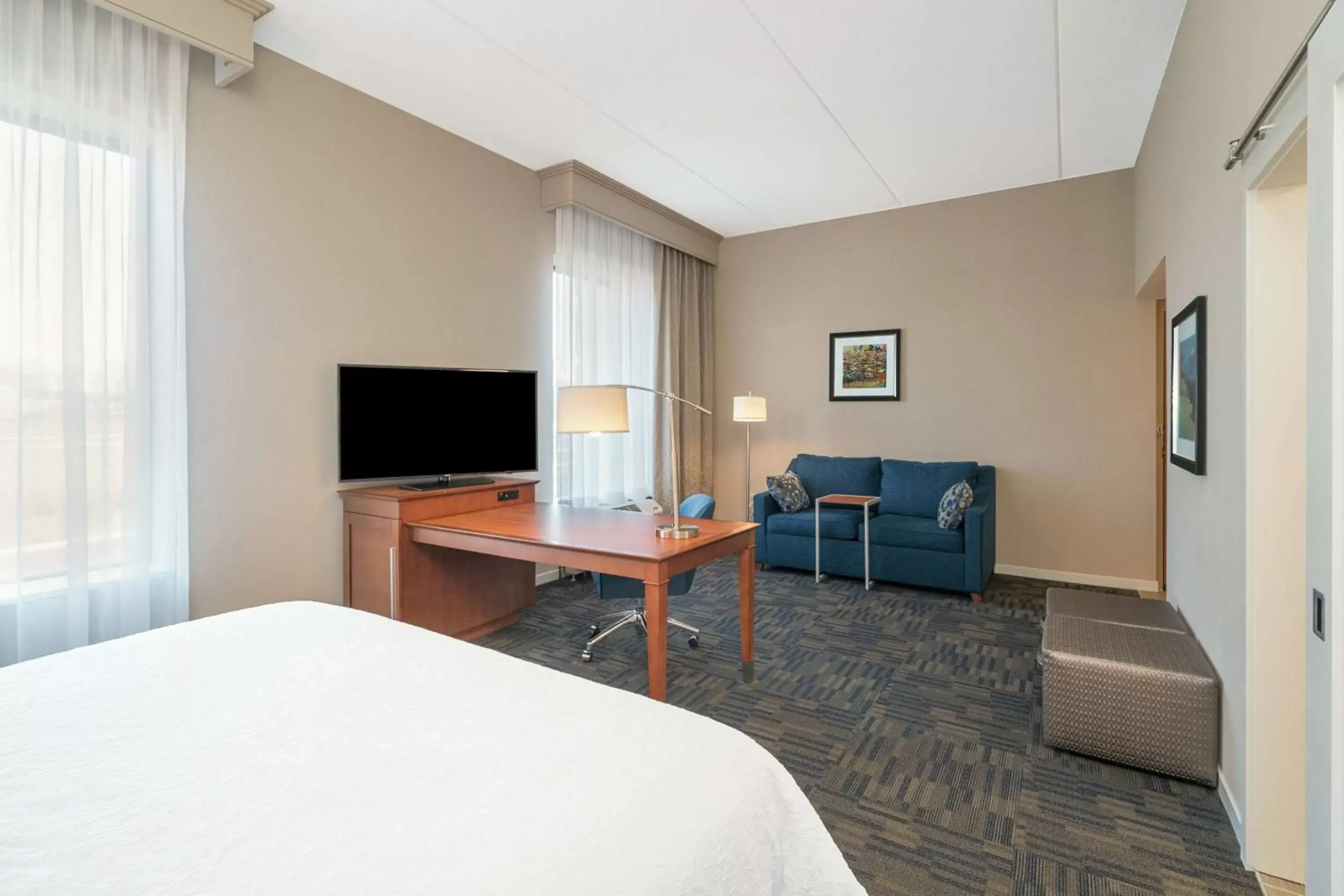 King Studio Suite with Sofa Bed - Hearing Access/Non-Smoking in Hampton Inn & Suites Newburgh Stewart Airport, NY King Studio Suite with Sofa Bed - Hearing Access/Non-Smoking in Hampton Inn & Suites Newburgh Stewart Airport, NY