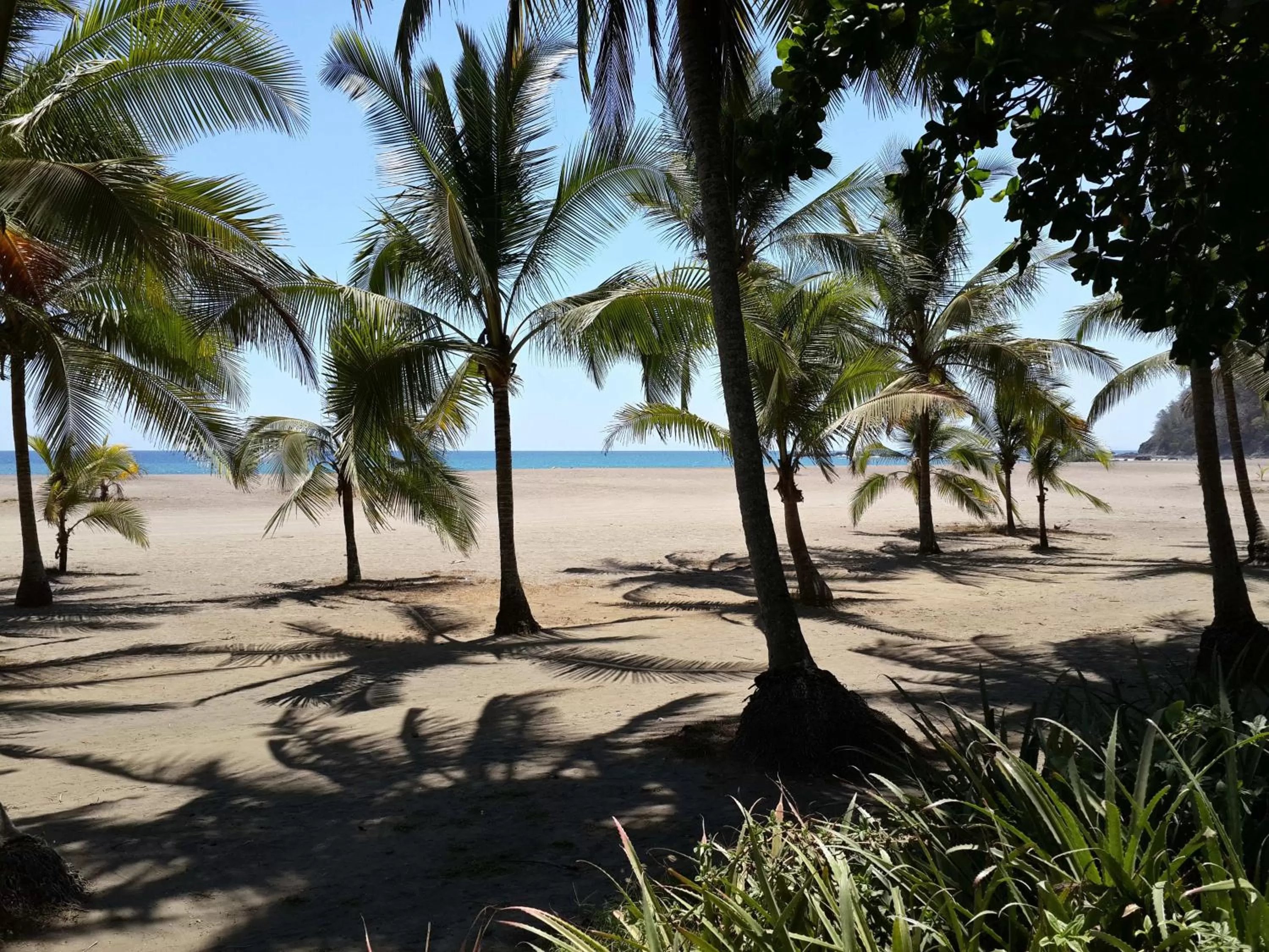 Day in Hotel Pochote Grande