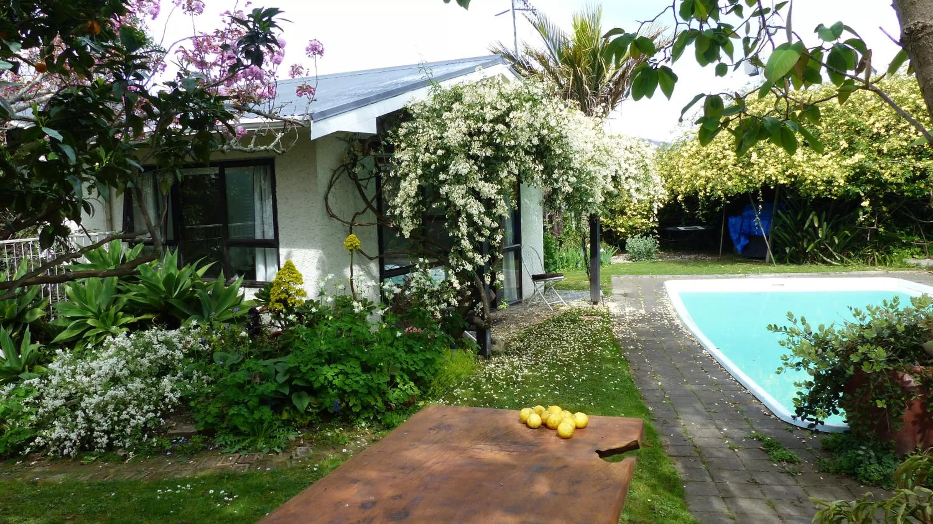 Decorative detail, Swimming Pool in Ashcroft Gardens Bed & Breakfast
