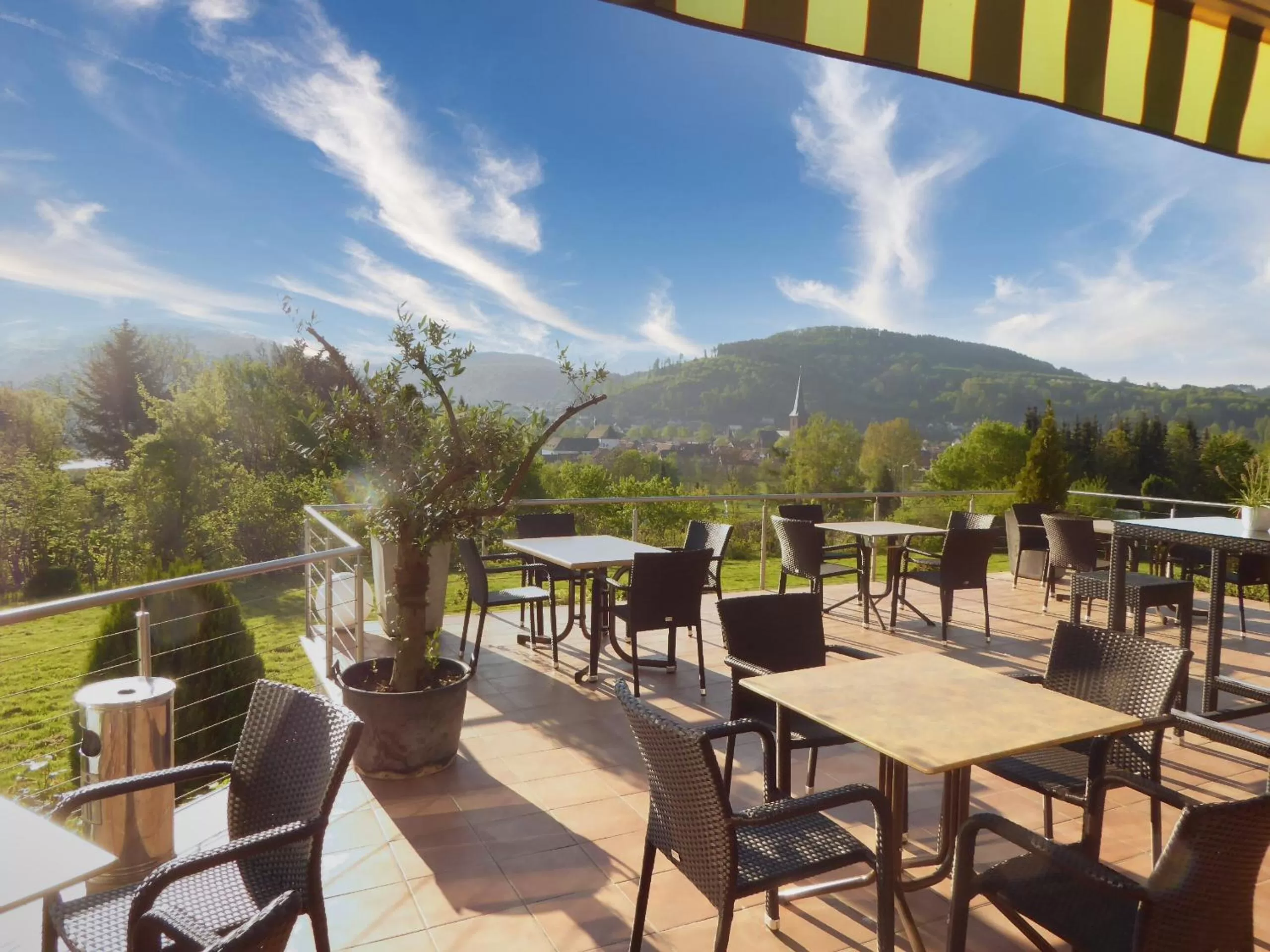 Garden in Hotel Sonnenhof