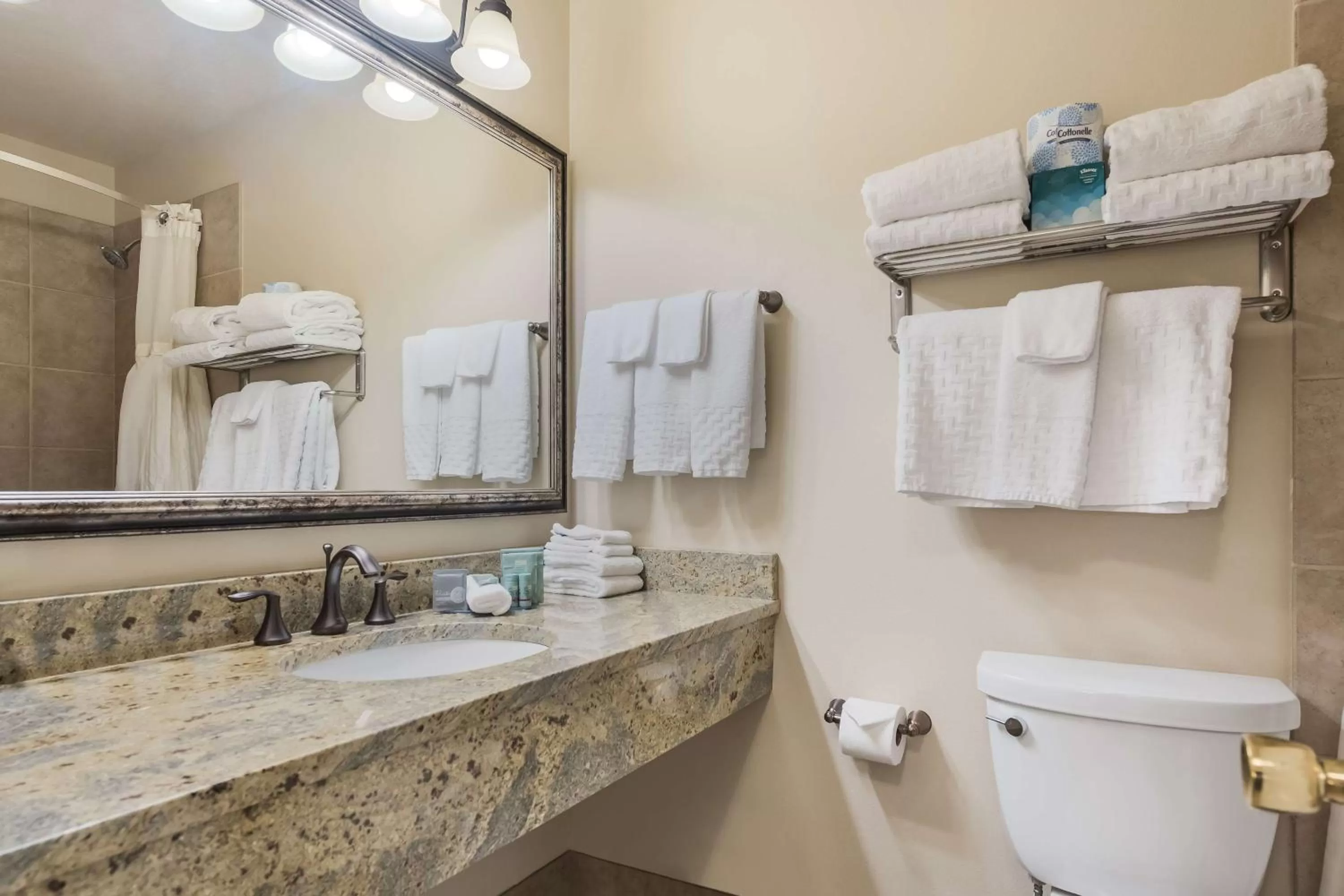 Bathroom in Best Western Tyrolean Lodge