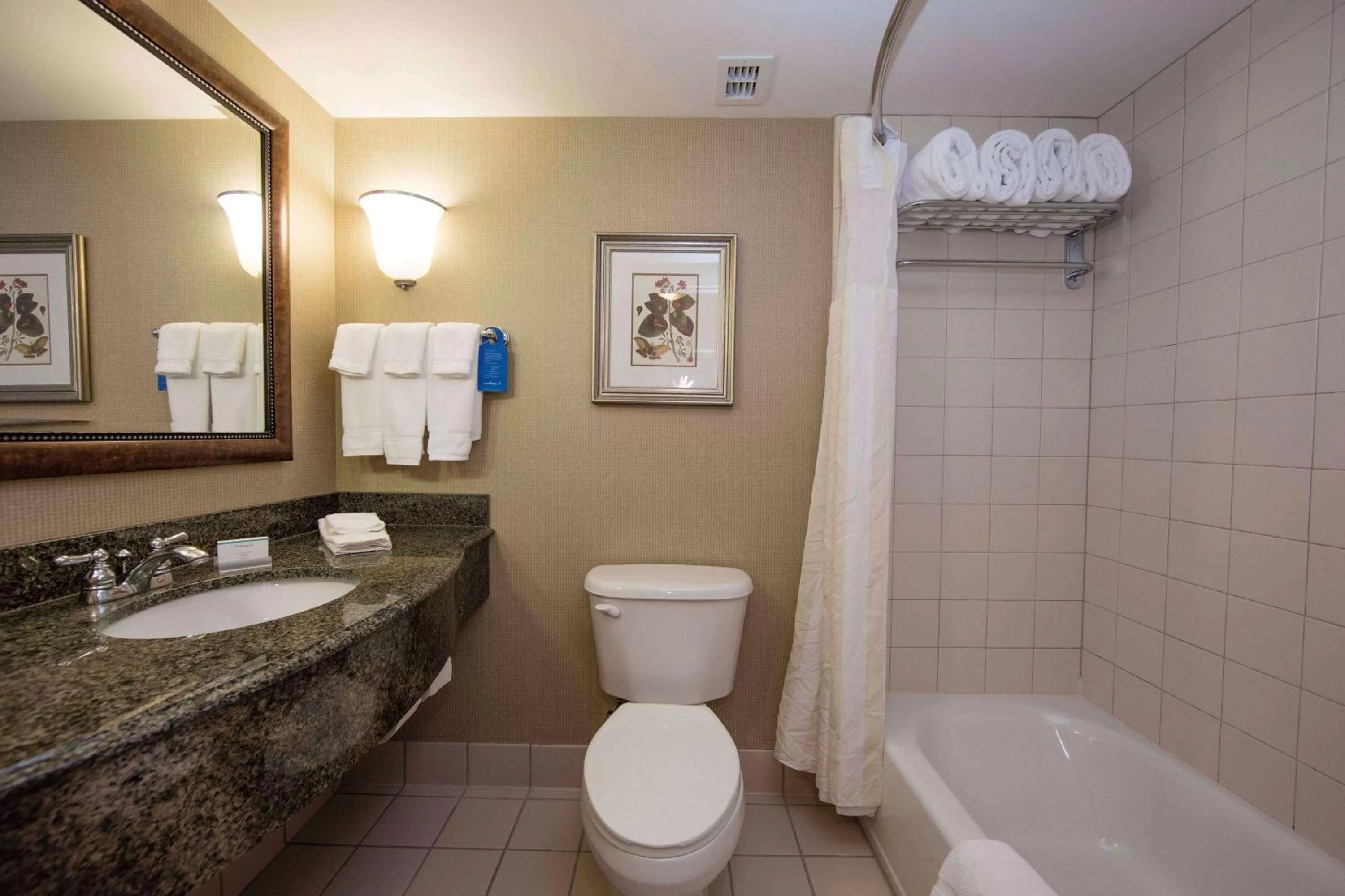 Queen Room with Two Queen Beds - Hearing Accessible in Hilton Garden Inn Athens Downtown