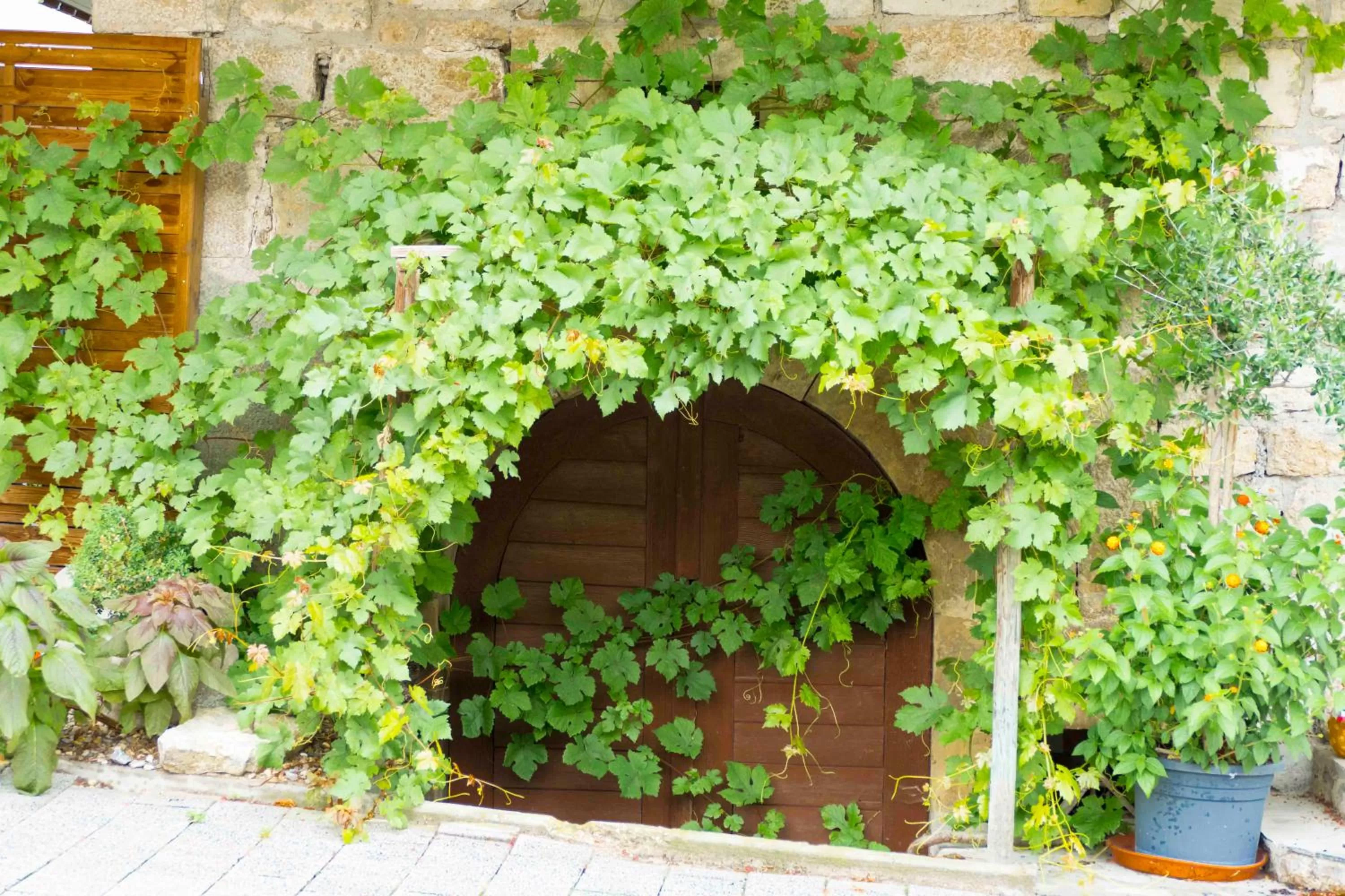 Facade/entrance in Hotel Landgasthof Lell