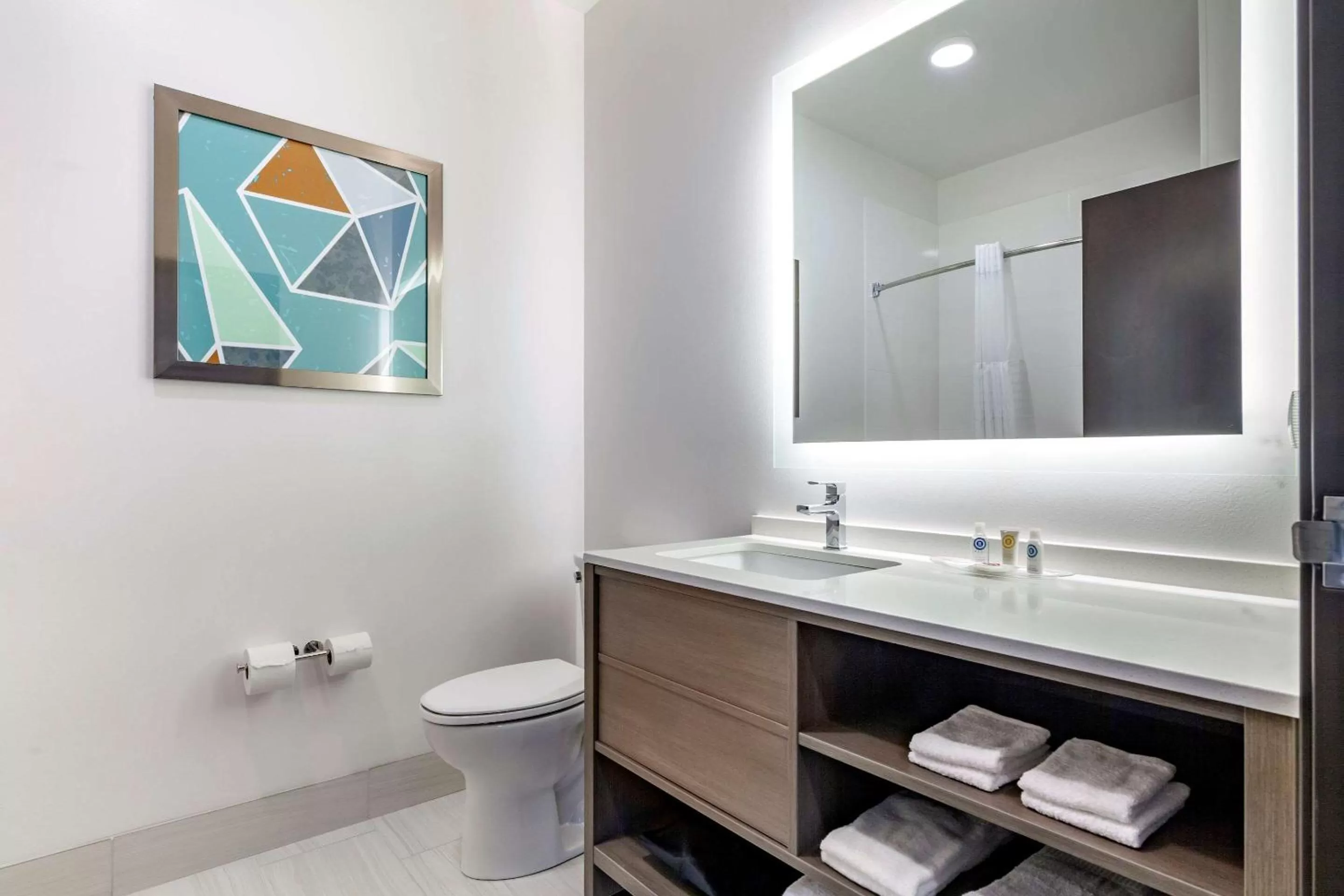 Bathroom in Comfort Suites Cottage Grove-Madison