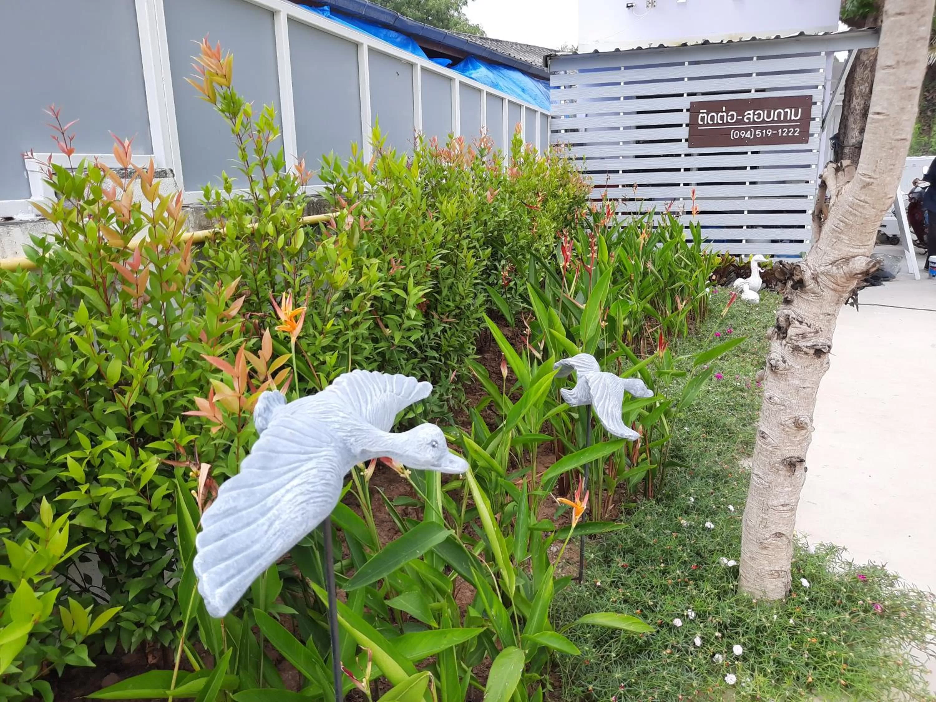 Fancy Carp Resort Hua-Hin