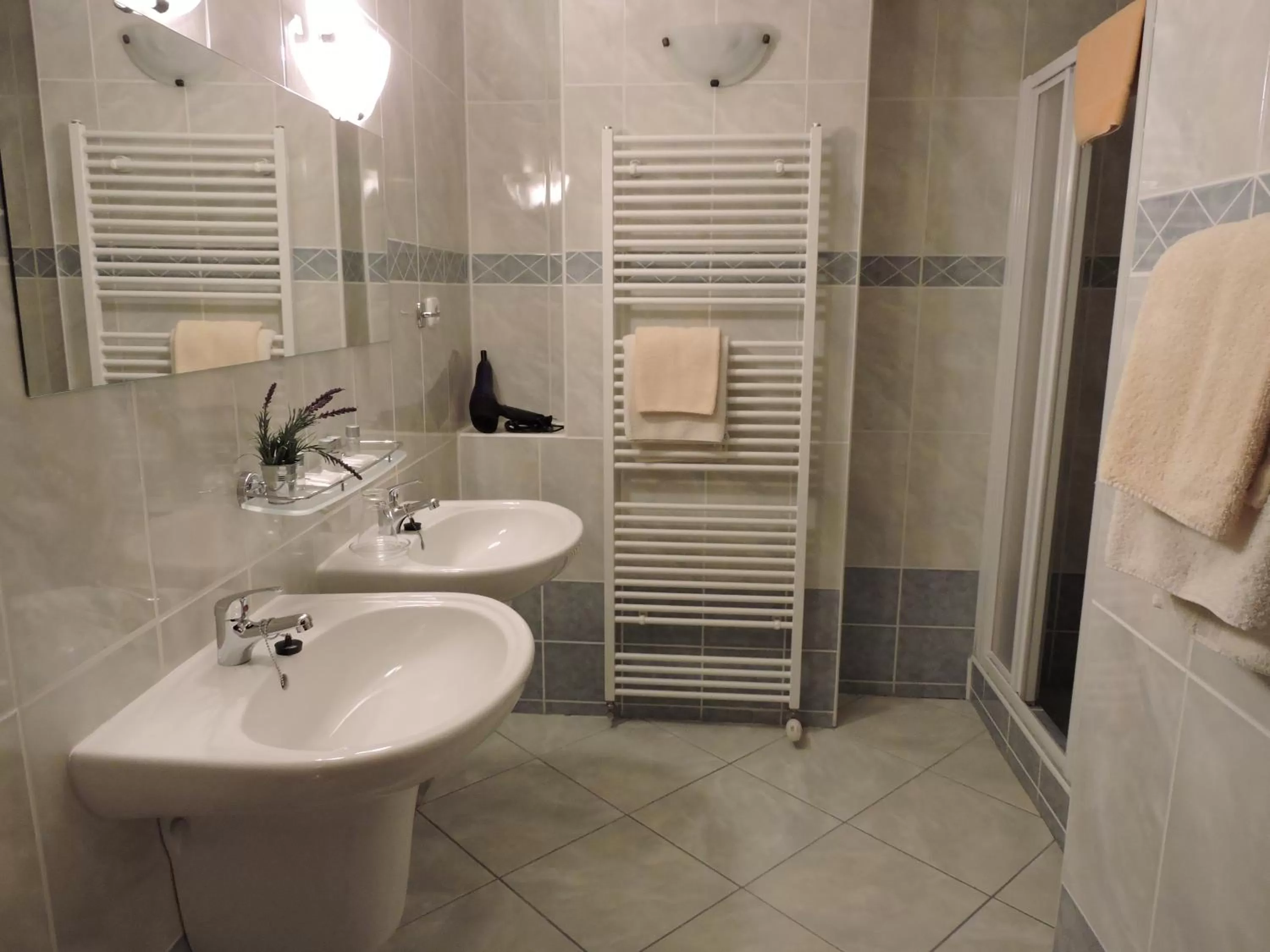 Bathroom in Hotel Atrium