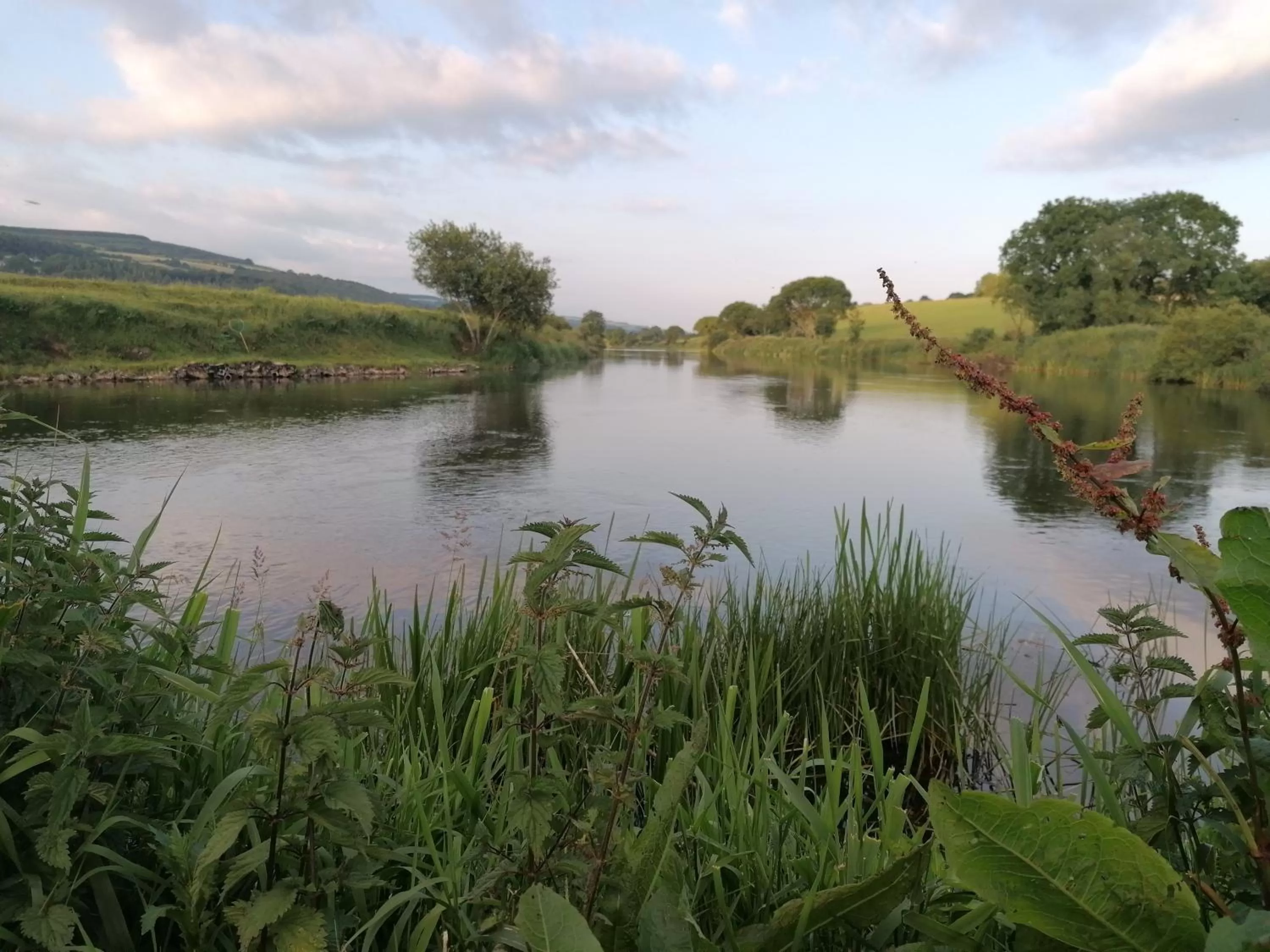 Cable Island Bed and Breakfast