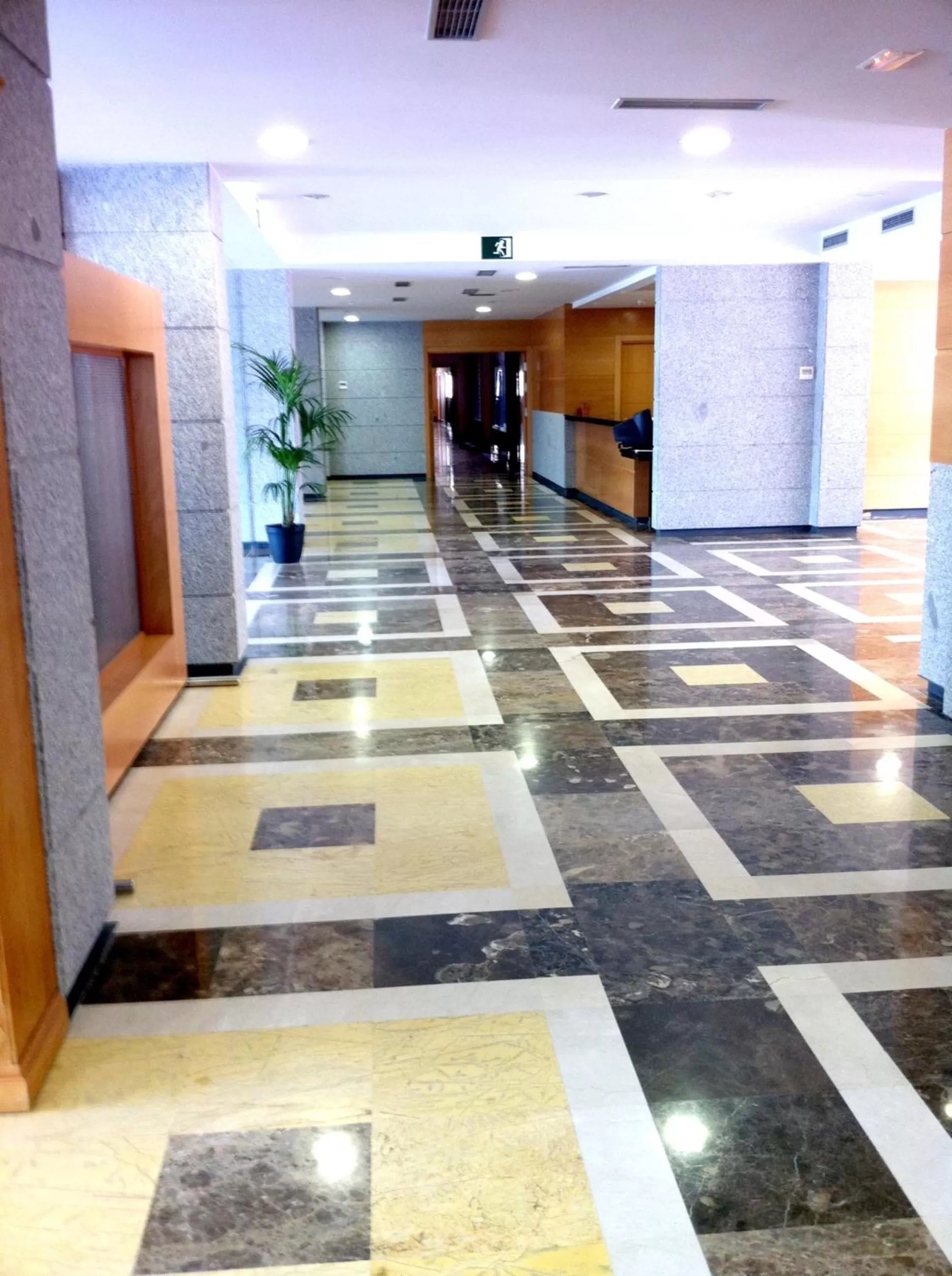 Lobby or reception, Lobby/Reception in Hotel-Apartamentos Tartesos