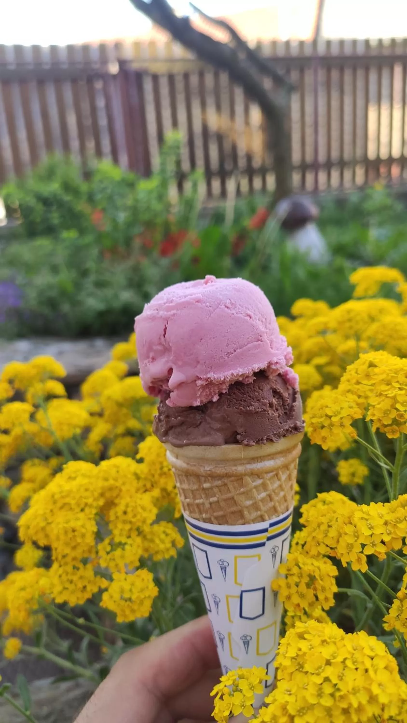 Food close-up in H@M Penzion