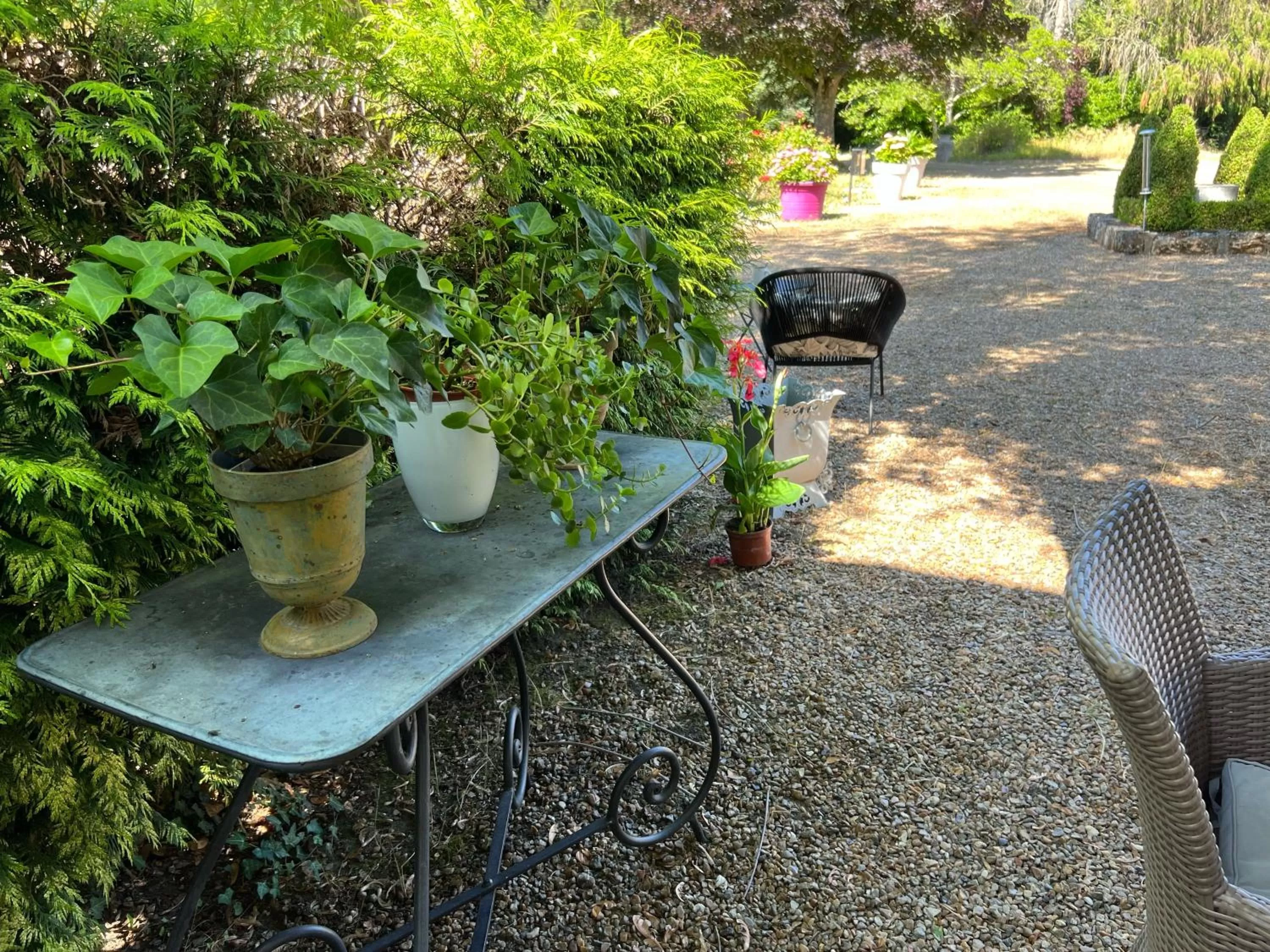 Garden in Chambres d'hôtes & Spa Les Perce Neige