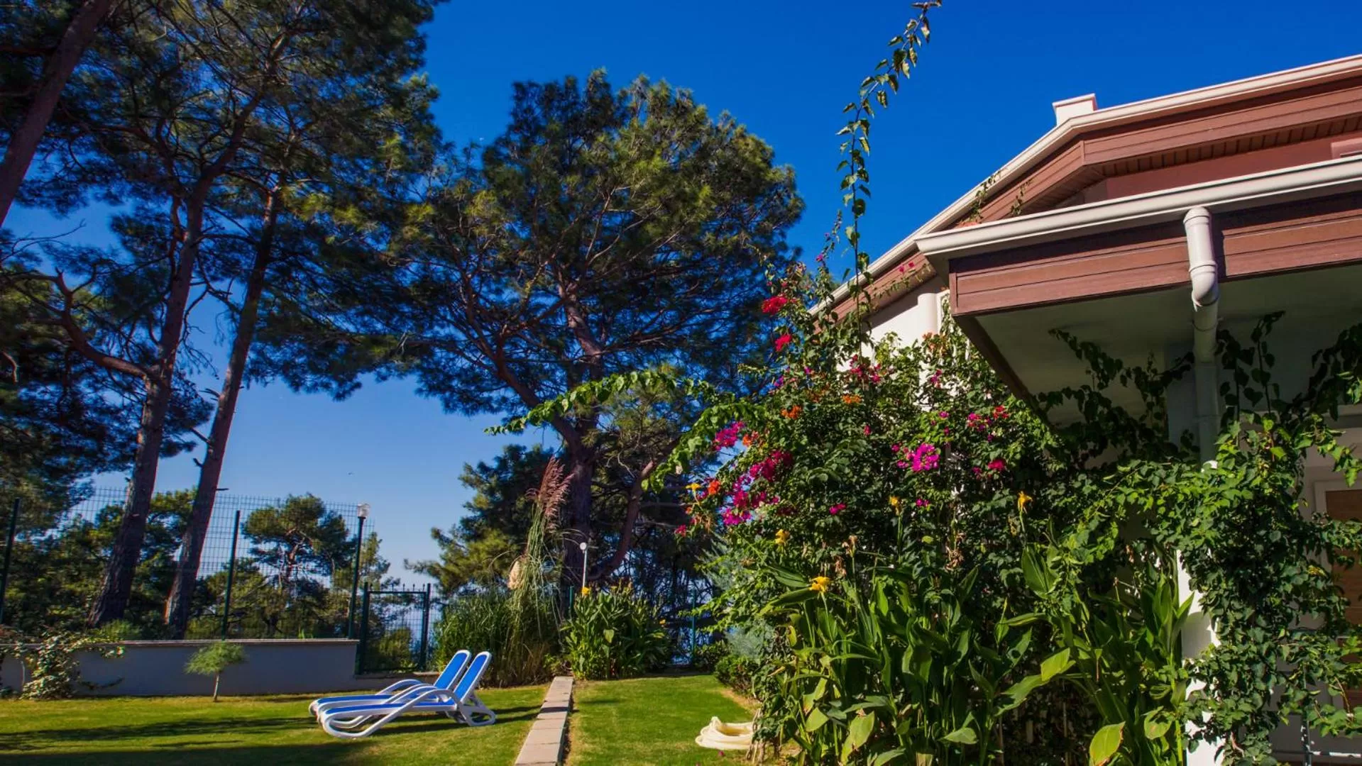 Day in Garcia Resort & Spa - Ultra All Inclusive