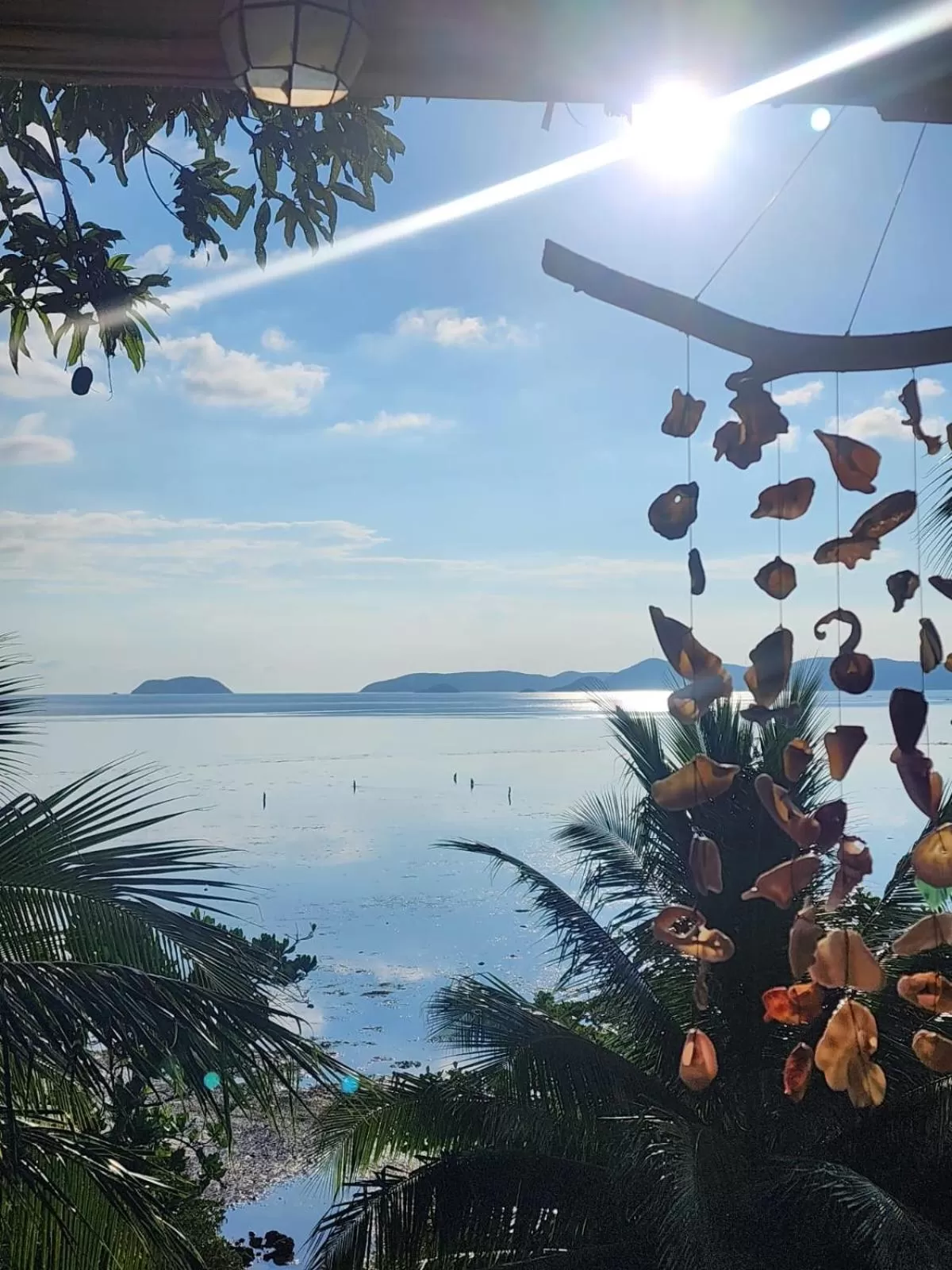 Natural landscape in Cocovana Beach Resort