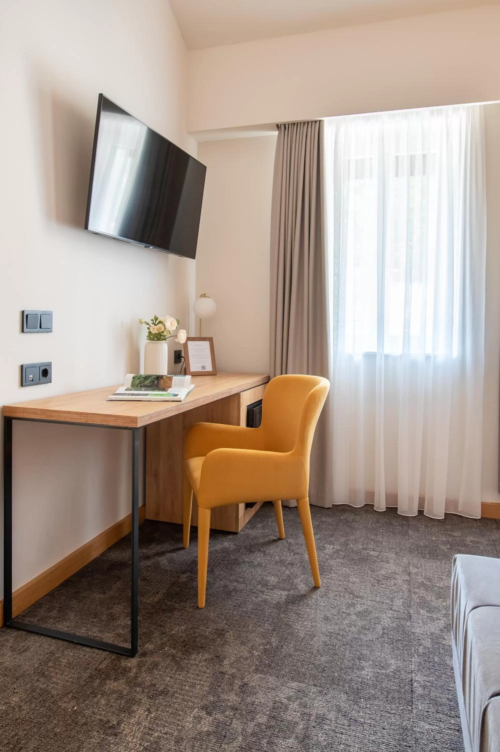 TV and multimedia in Botrytis Borhotel