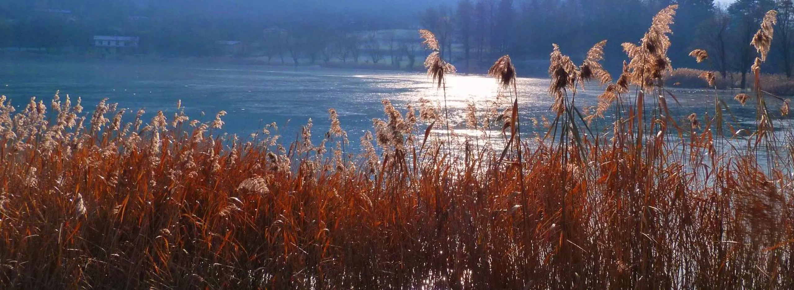 Natural landscape in Albergo La Romanella