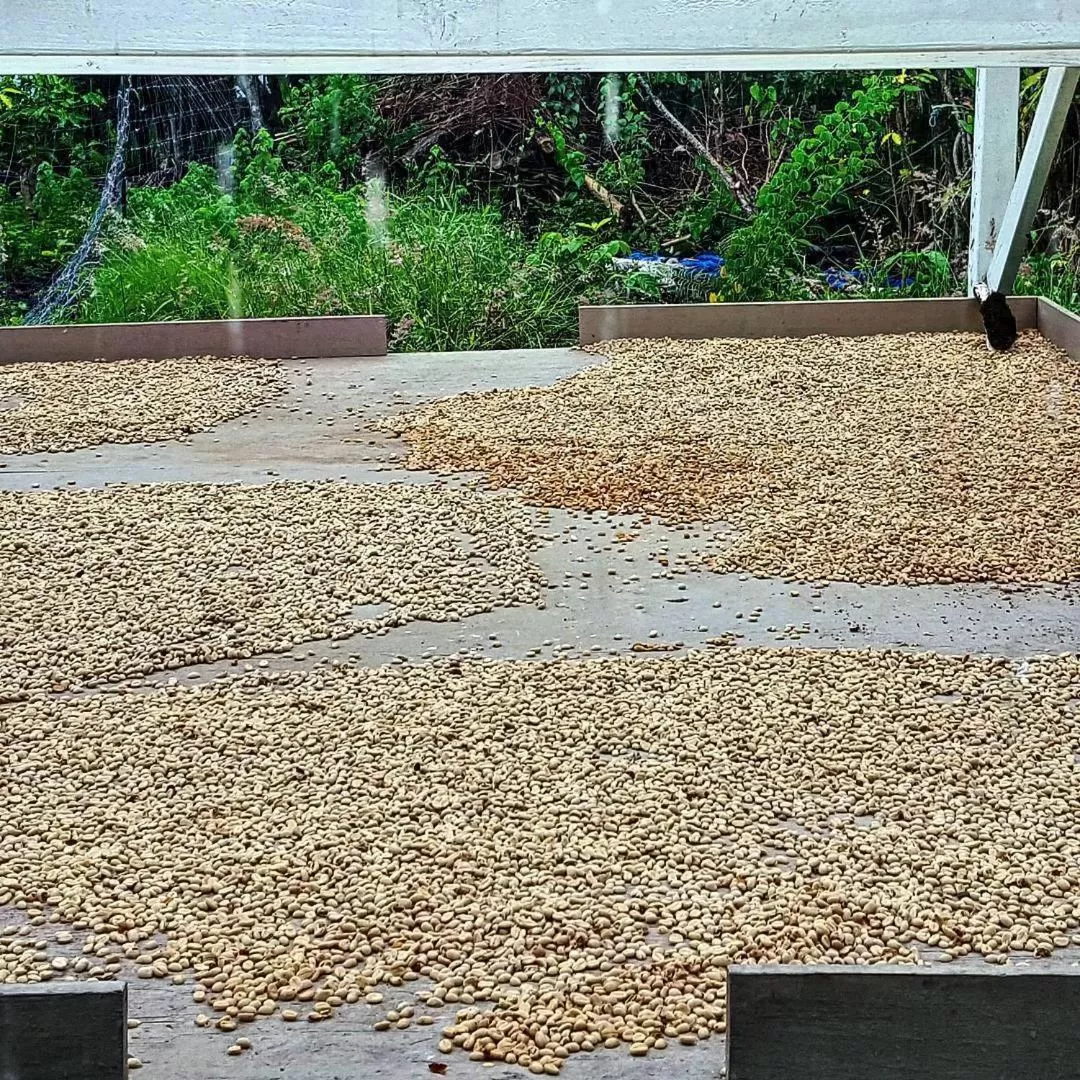 Day, Beach in Hale Hualalai