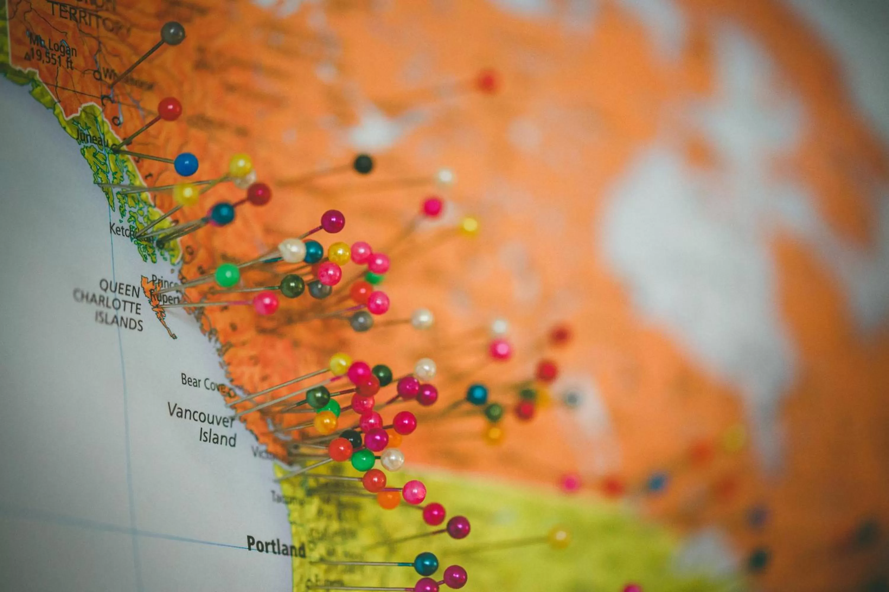 Activities in Tall Trees Bed & Breakfast