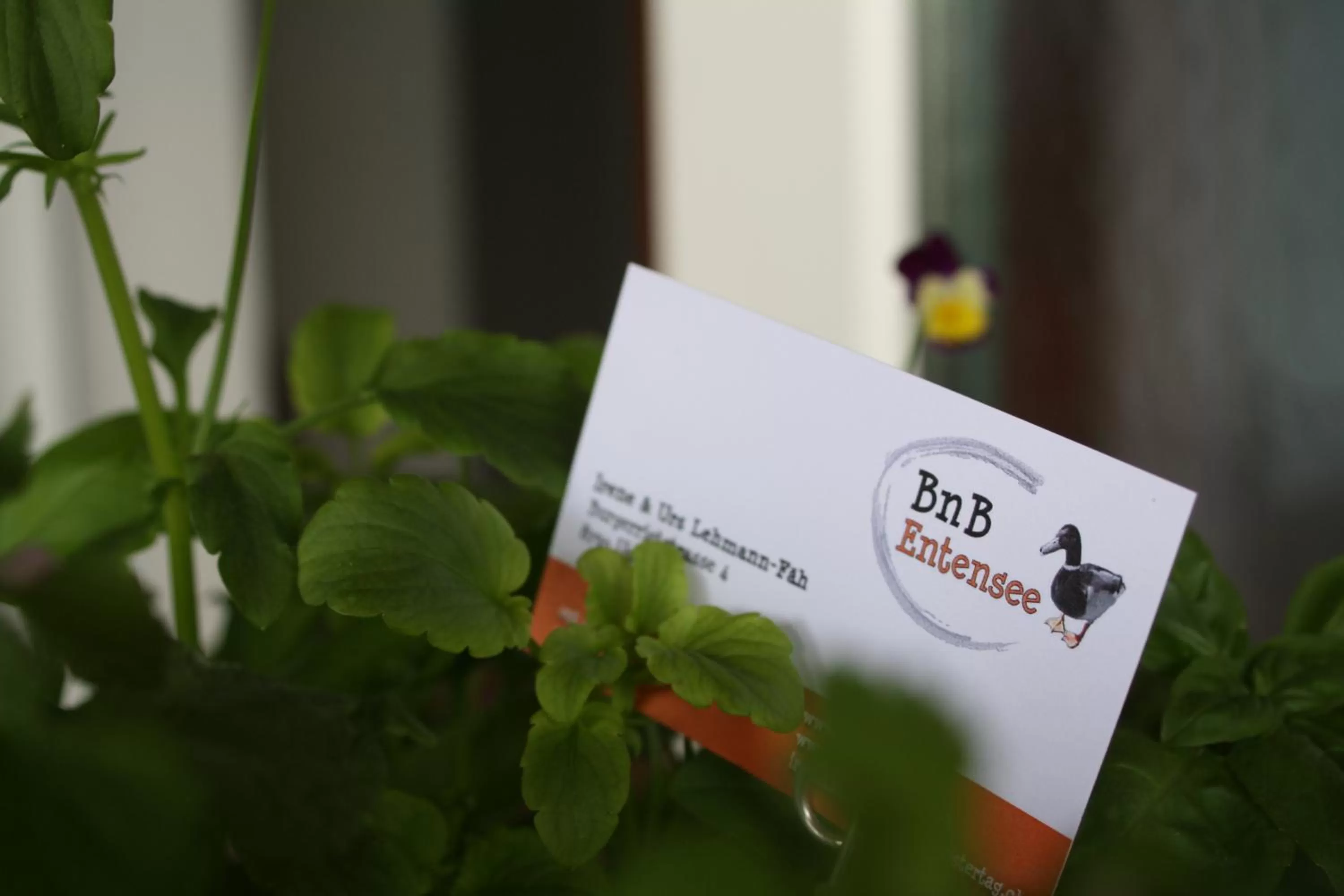 Property logo or sign in BnB Entensee