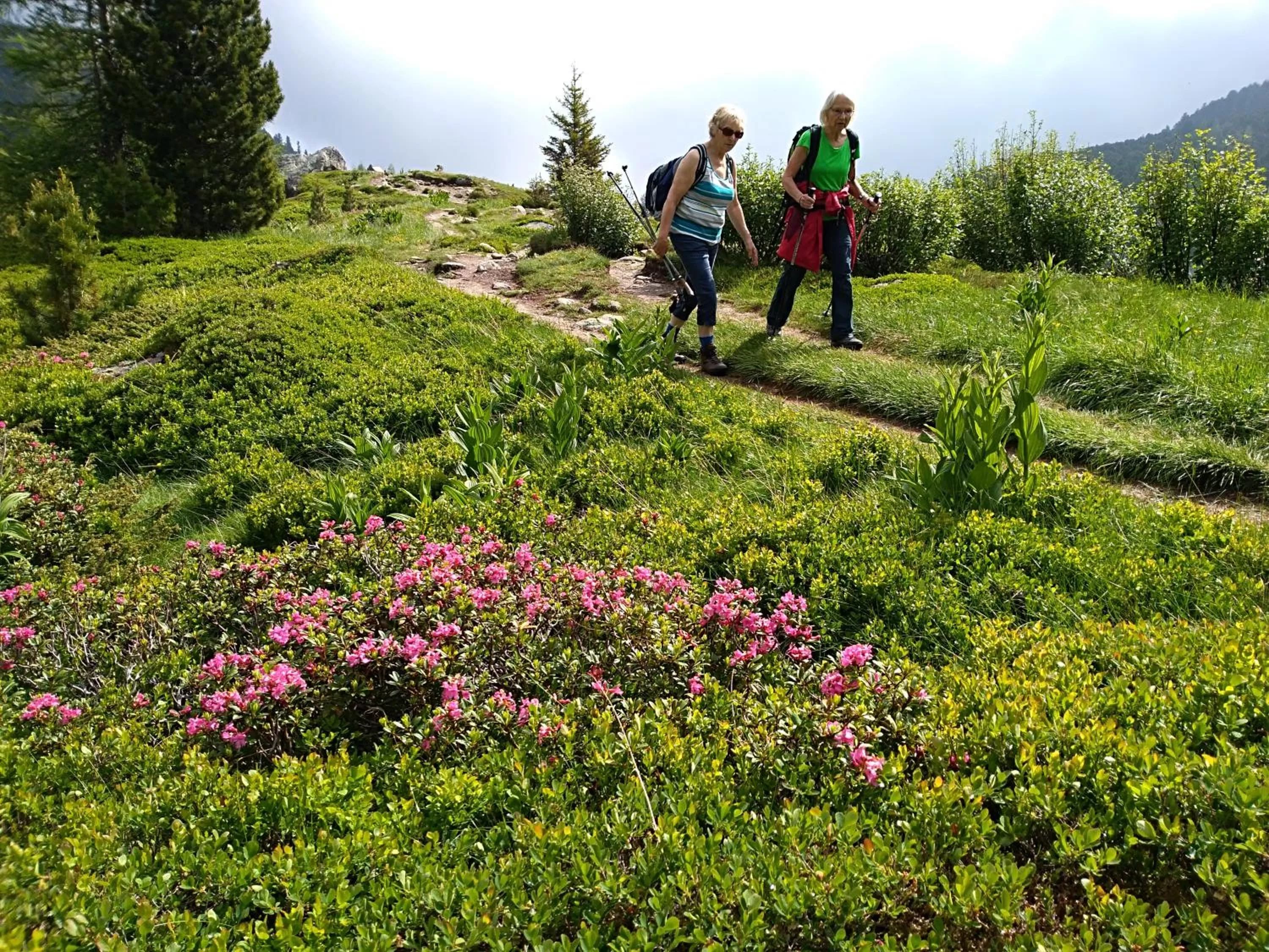 Day in Motel Zeltweg - Self-Check-in