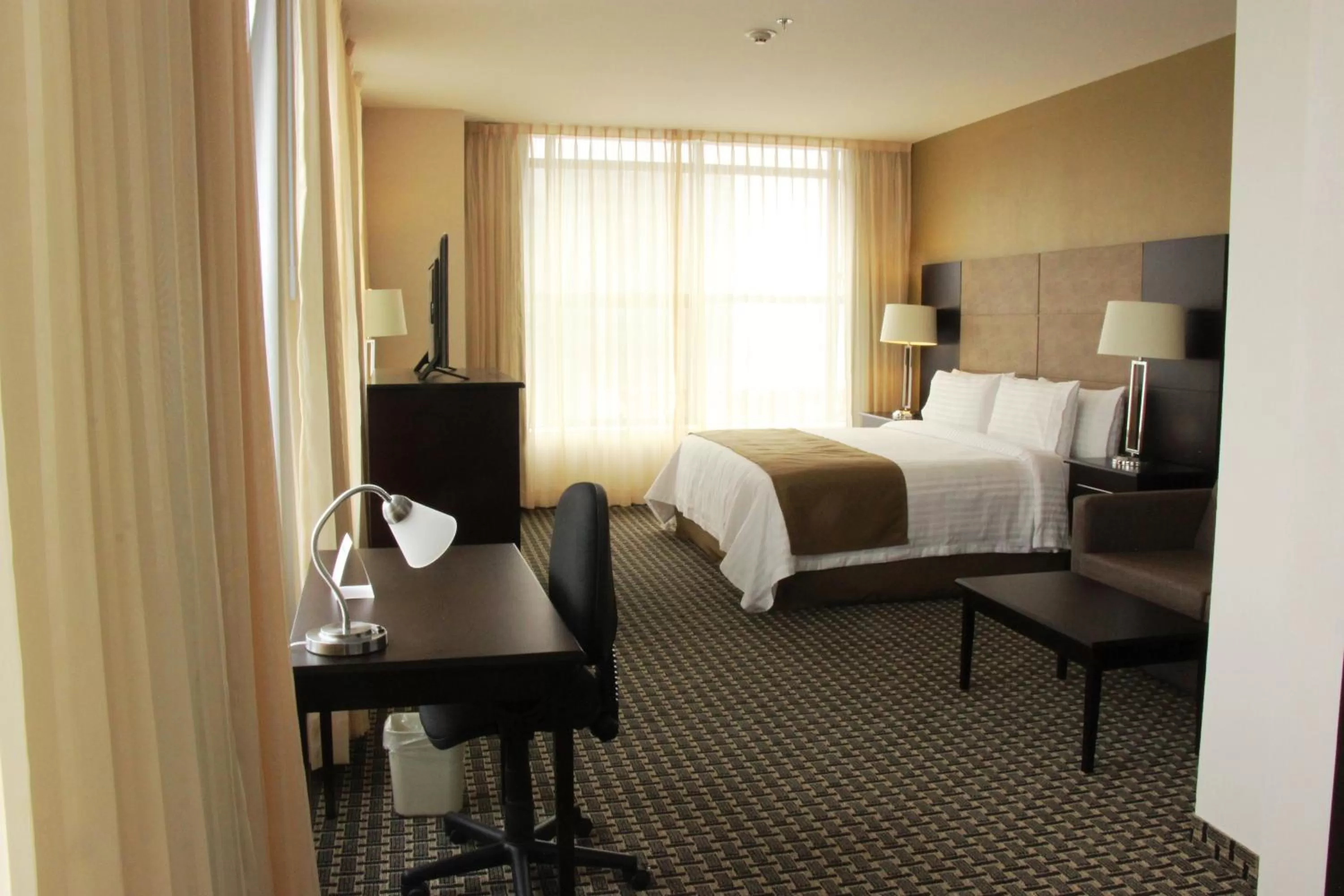 Photo of the whole room in Holiday Inn Mexico Santa Fe by IHG