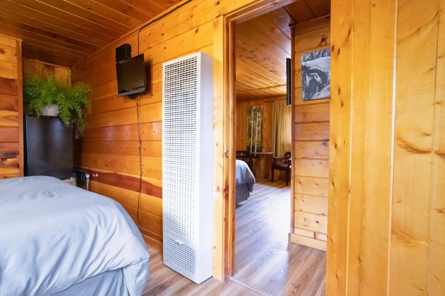 Bed in Lodge at Poncha Springs
