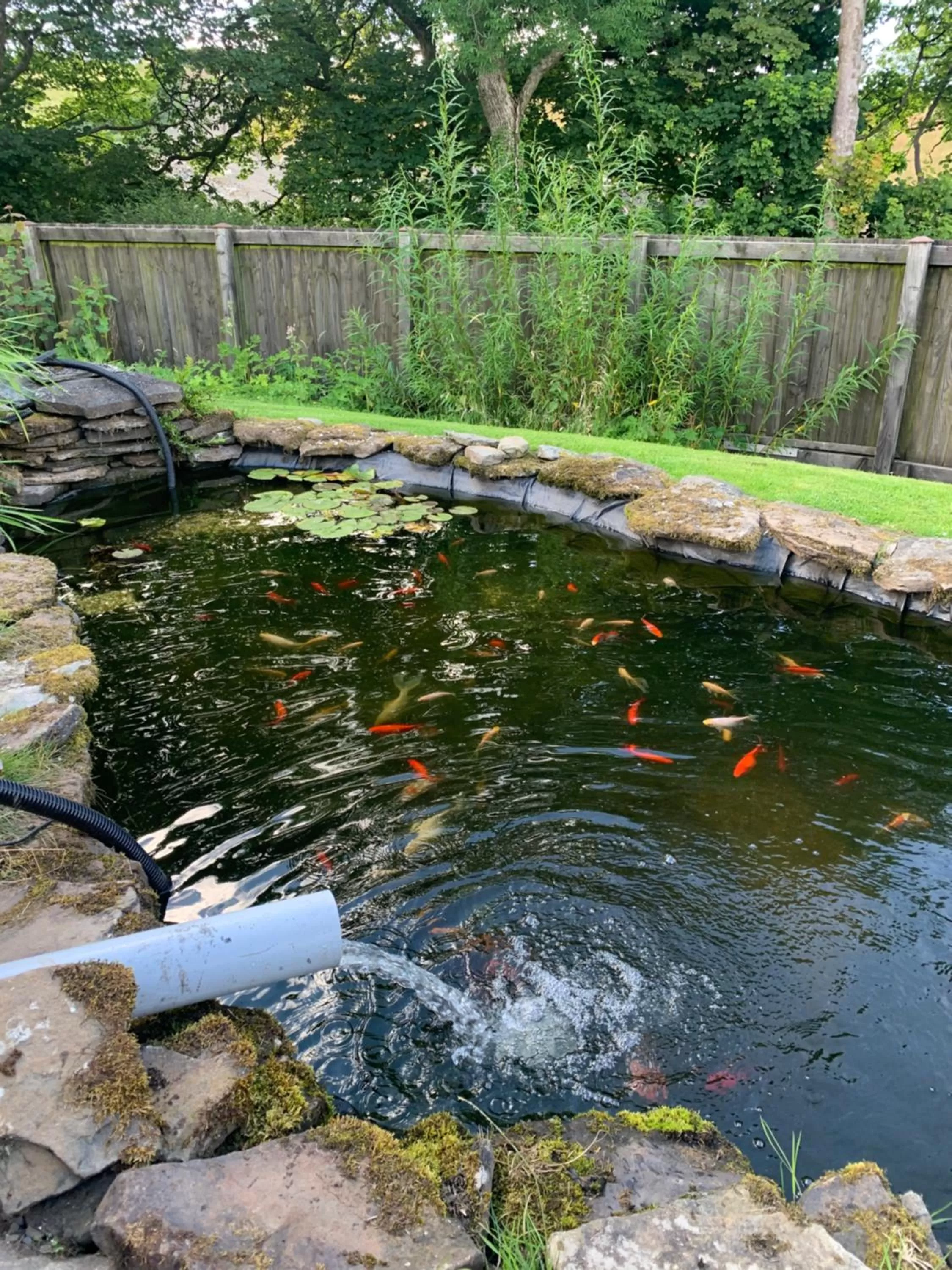 Garden in Beudy Bach