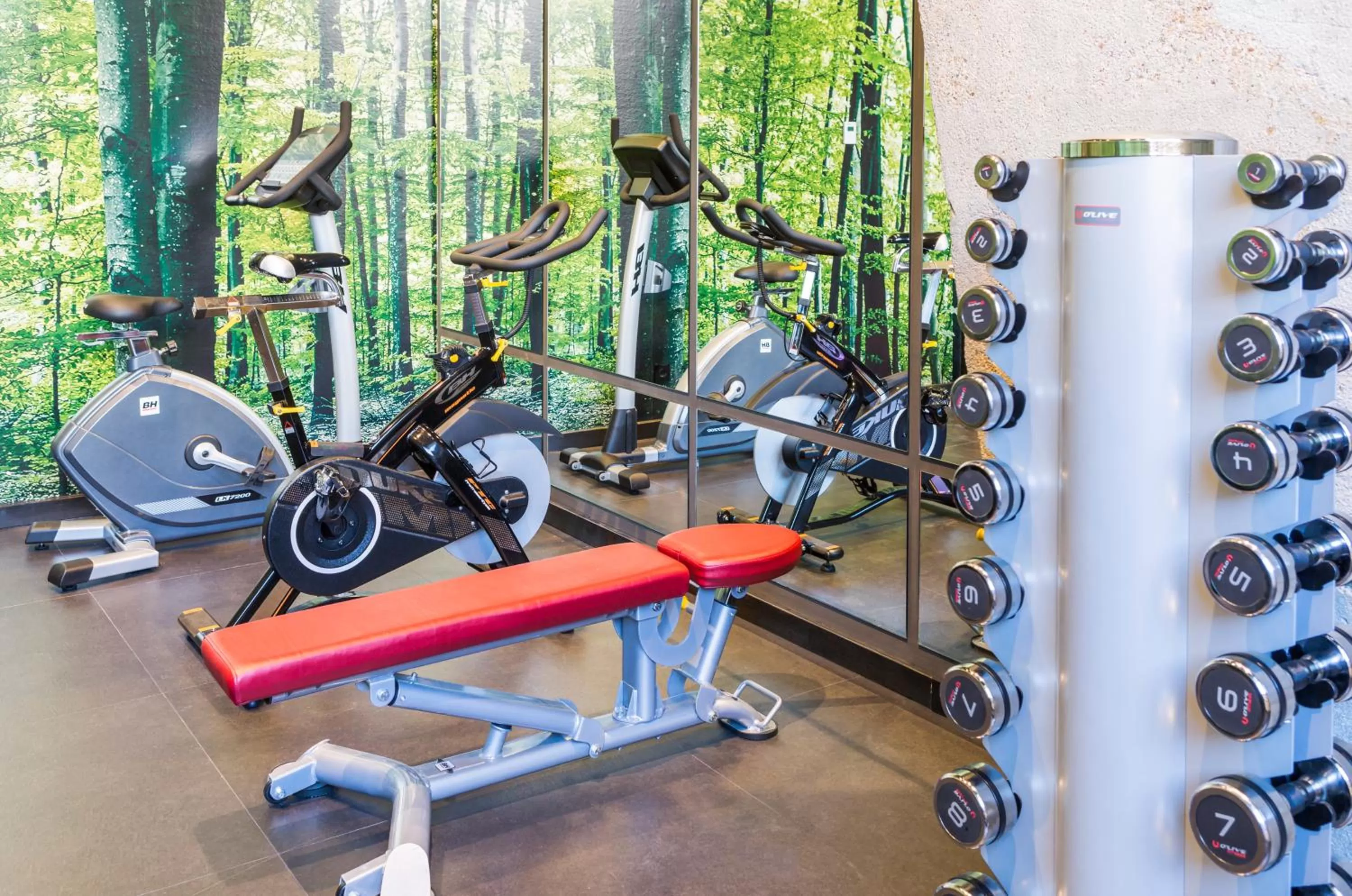 Fitness centre/facilities in Novotel Sevilla