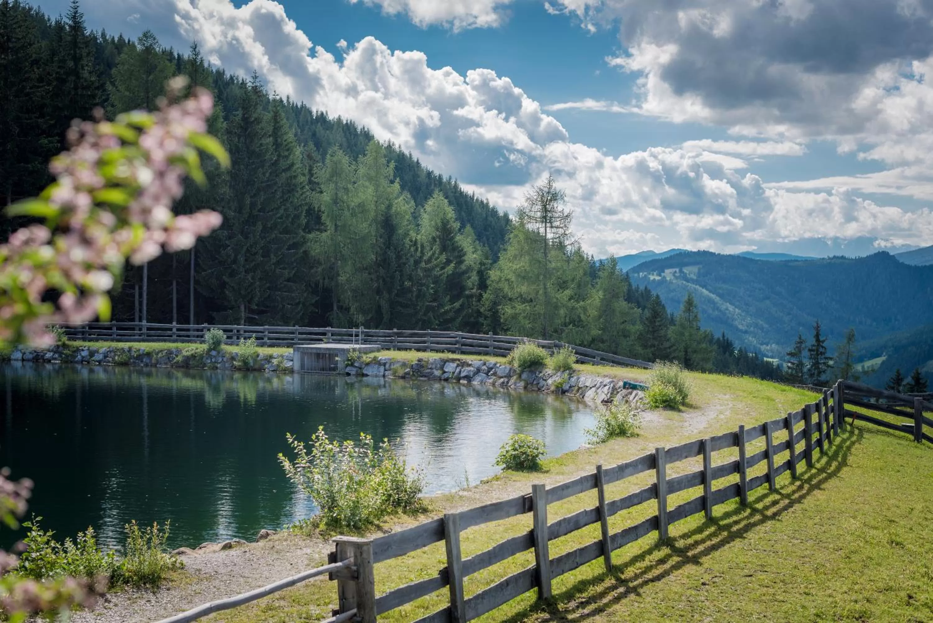 Day in Almwelt Austria