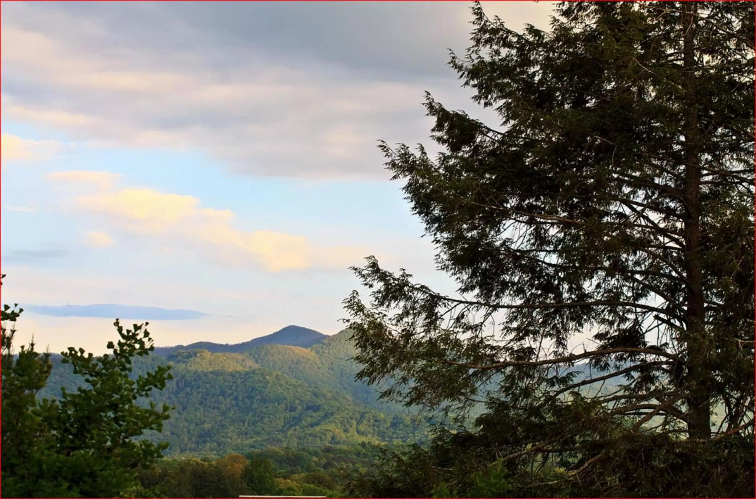 Other in Franklin Terrace Bed and Breakfast