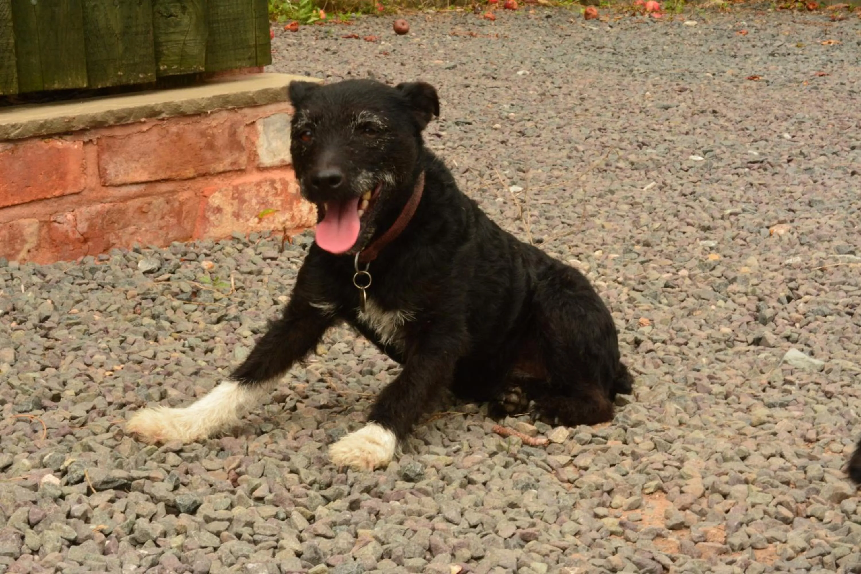 Pine Tree Lodge, Bridgnorth