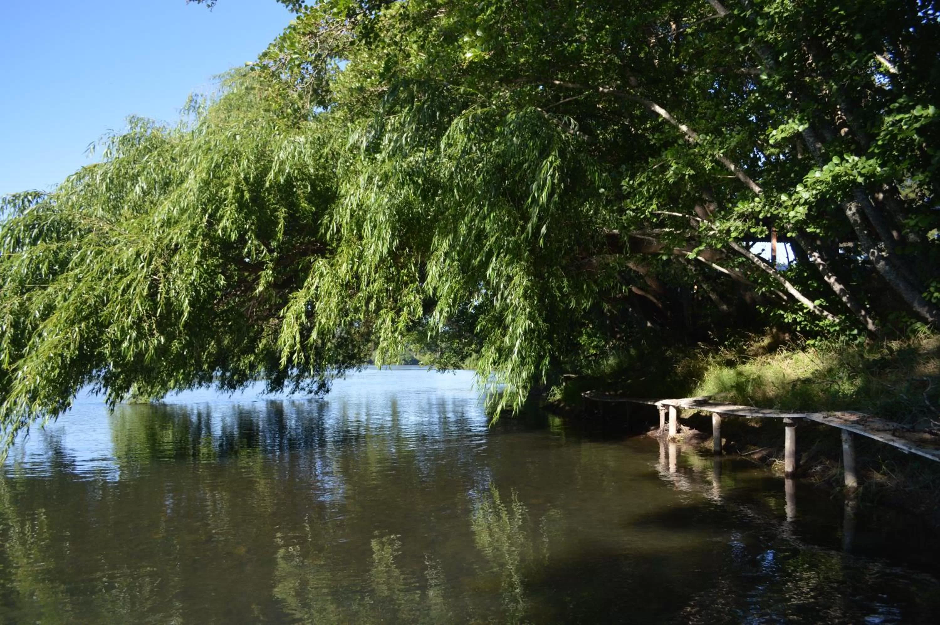 Coyunche Cabañas y Camping Laja & San Rosendo