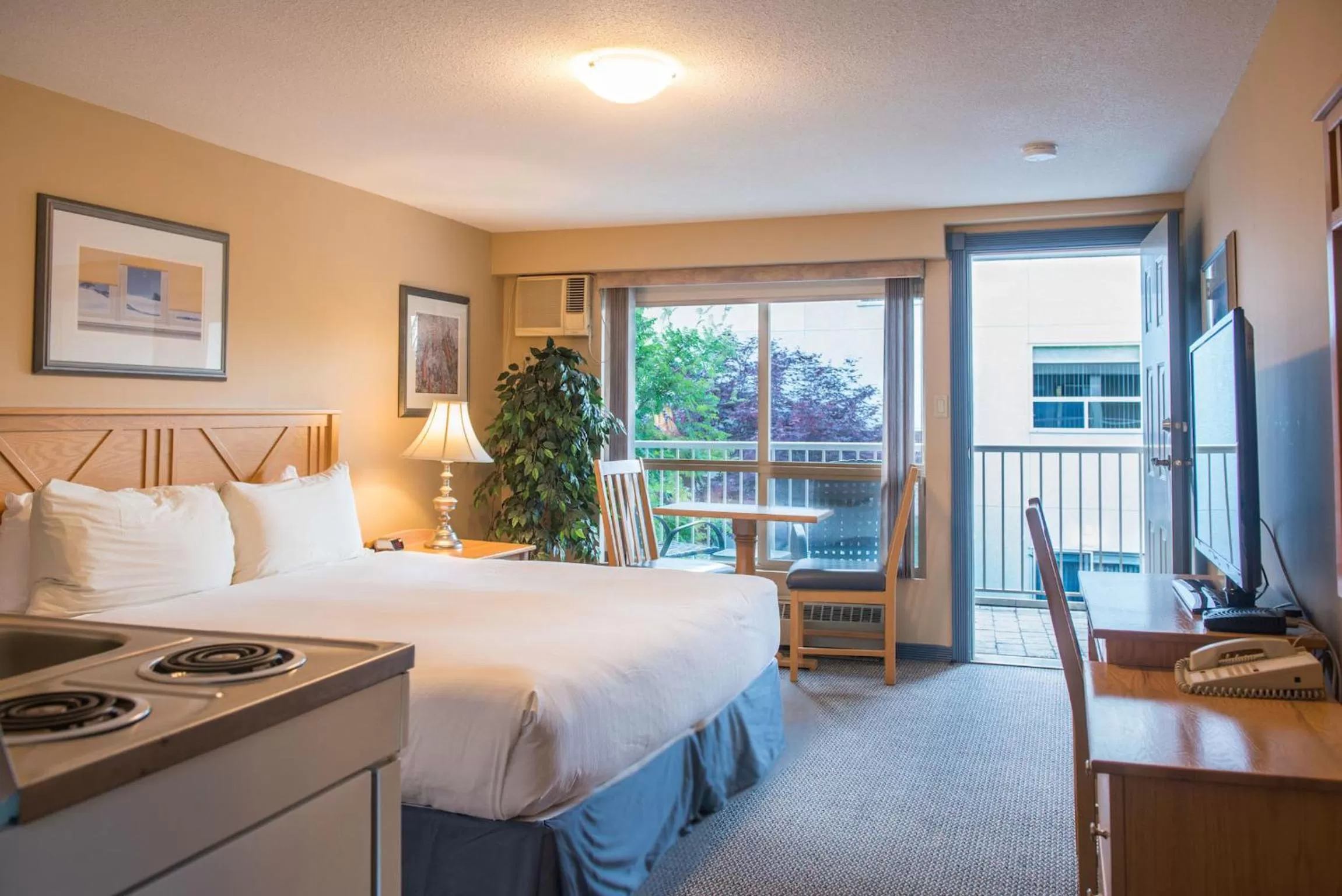 Photo of the whole room, Bed in Hilltop Inn - Salmon Arm