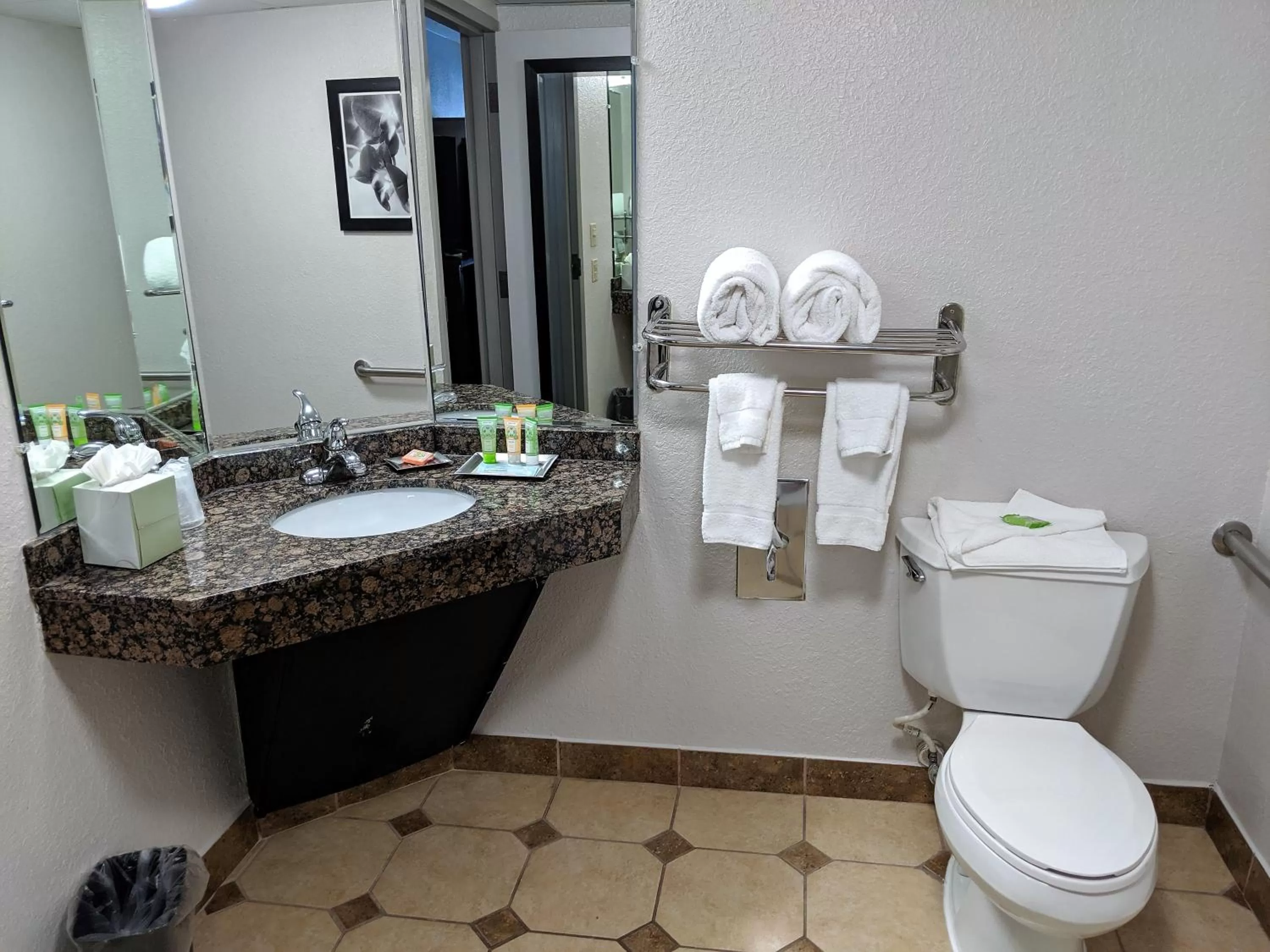 Bathroom in Wyndham Garden Charlotte Airport Southeast