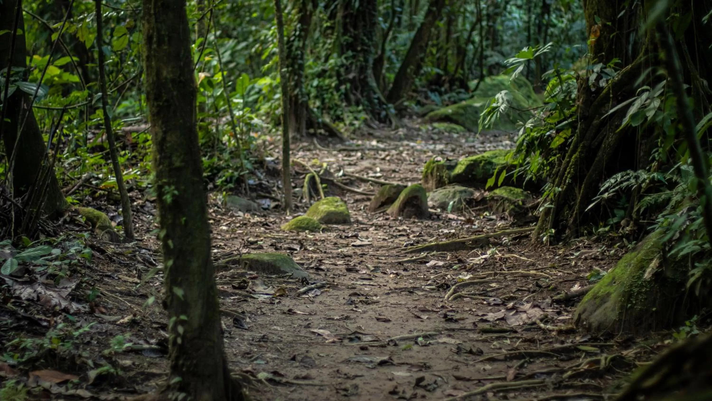 Hotel Rancho Cerro Azul