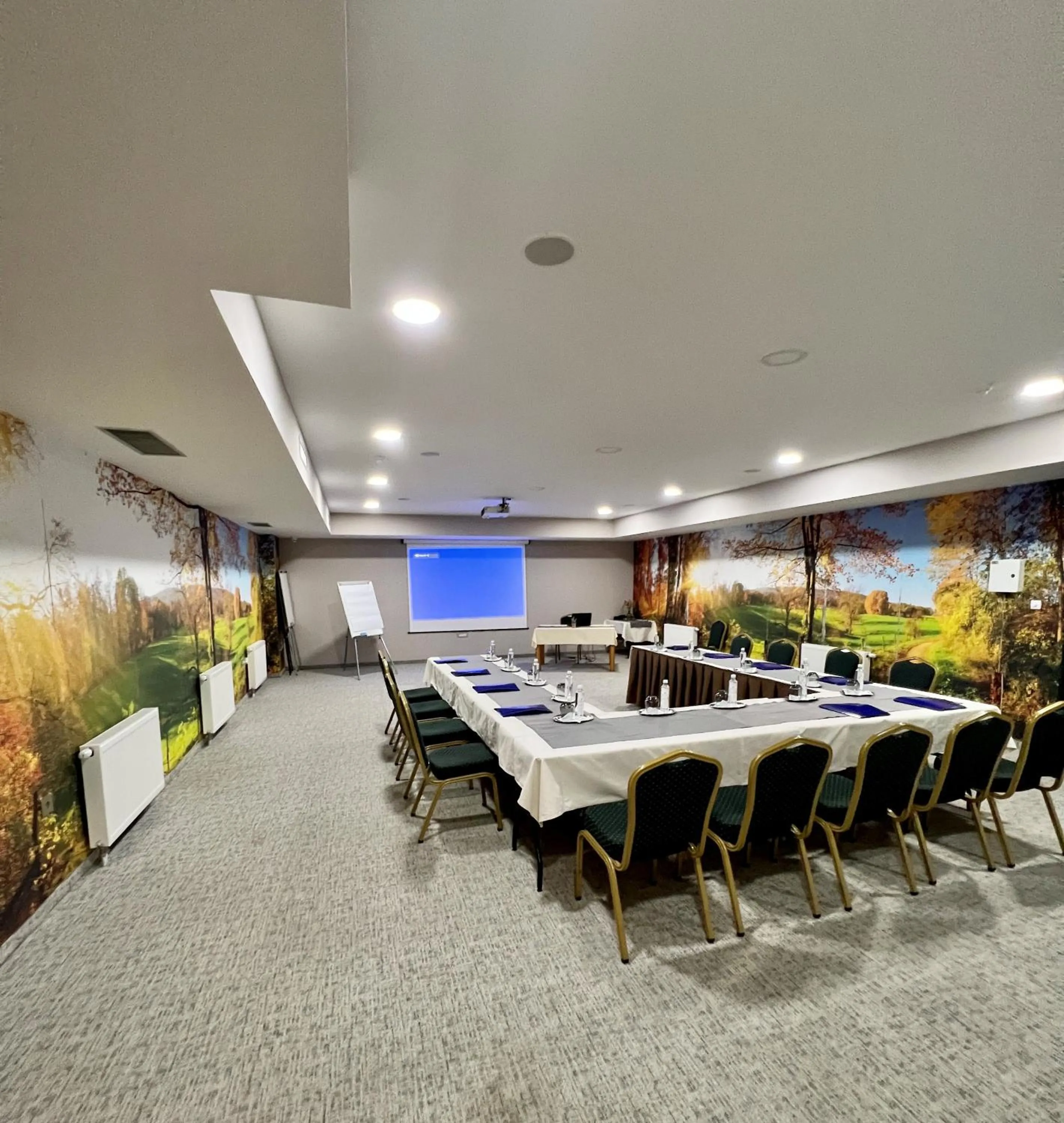 Meeting/conference room in Pino Nature Hotel, BW Premier Collection