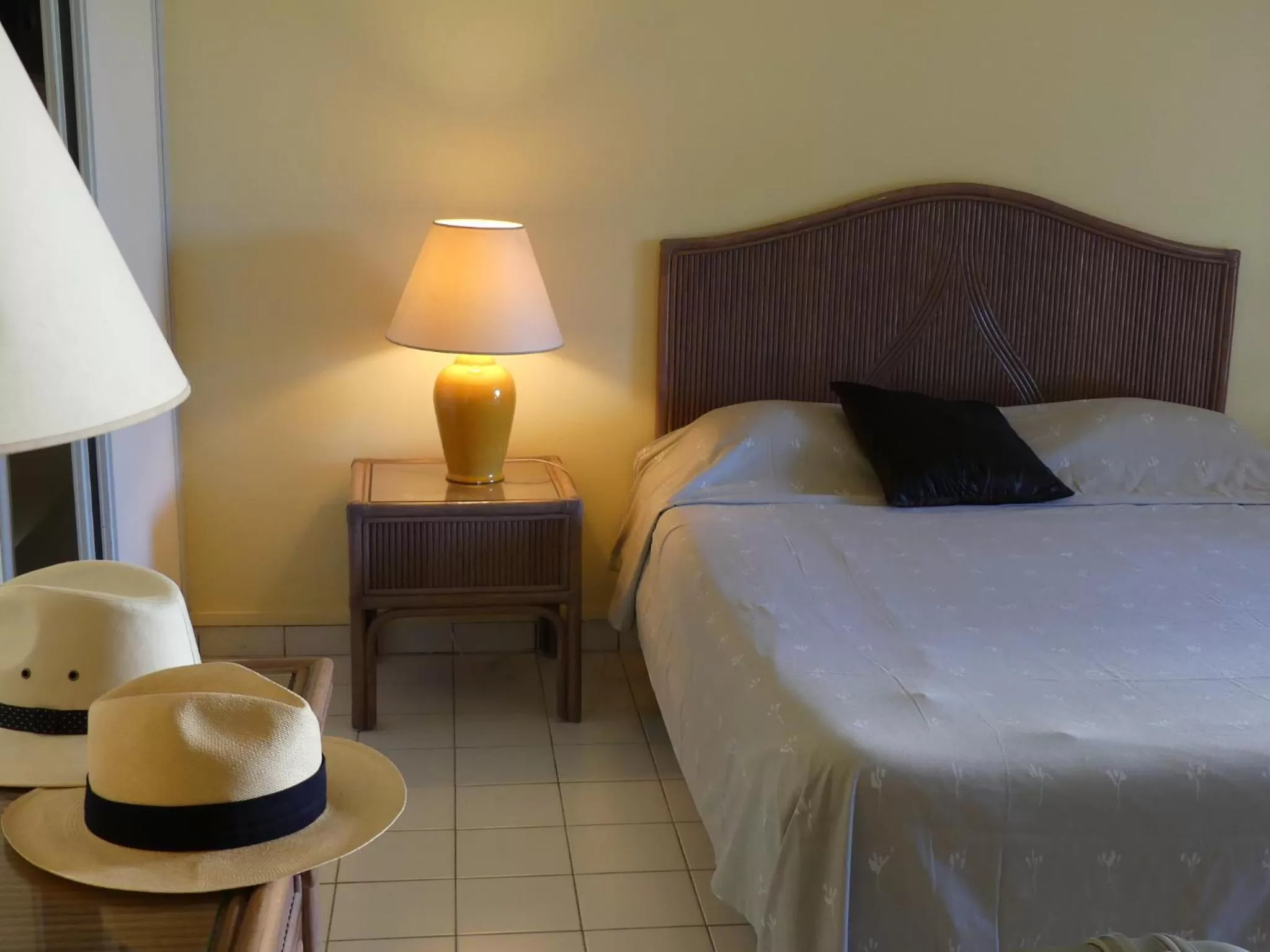 Studio with Terrace in Résidence Le Vallon Guadeloupe Parc Piscine Appartements & Studios