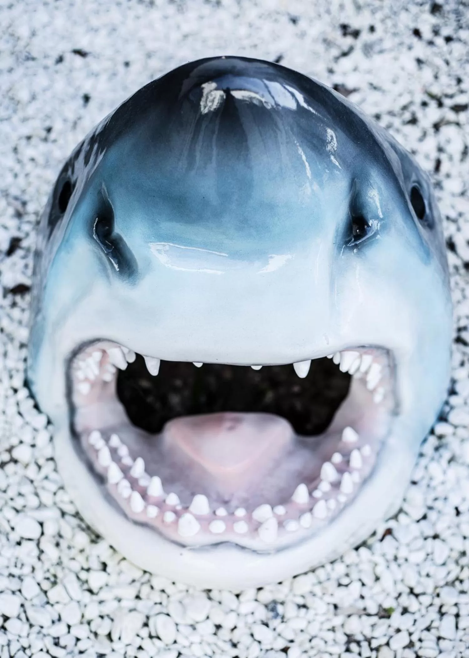 Area and facilities in Hotel Tum Stüürmann