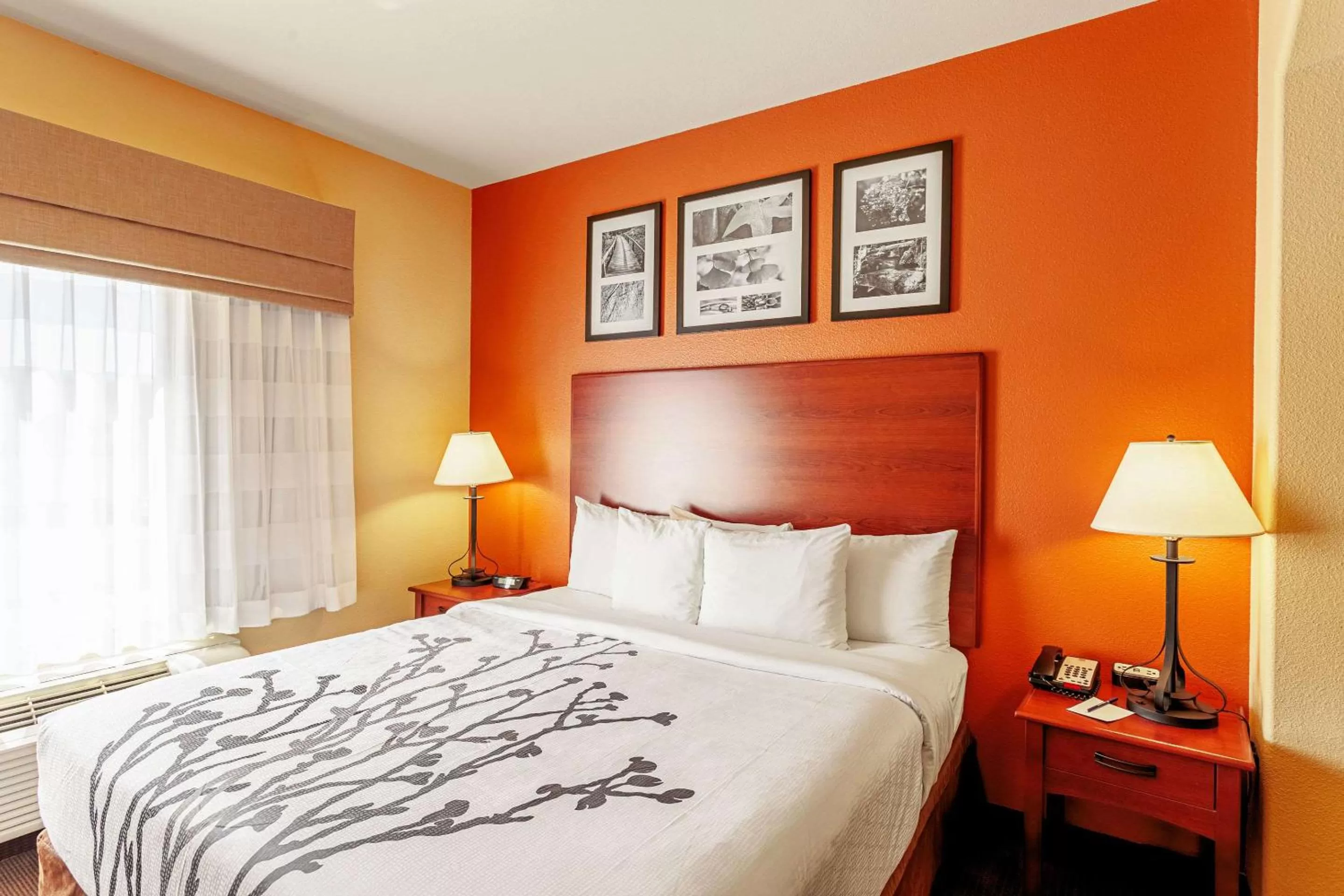 King Suite - Non-Smoking in Sleep Inn & Suites Tyler