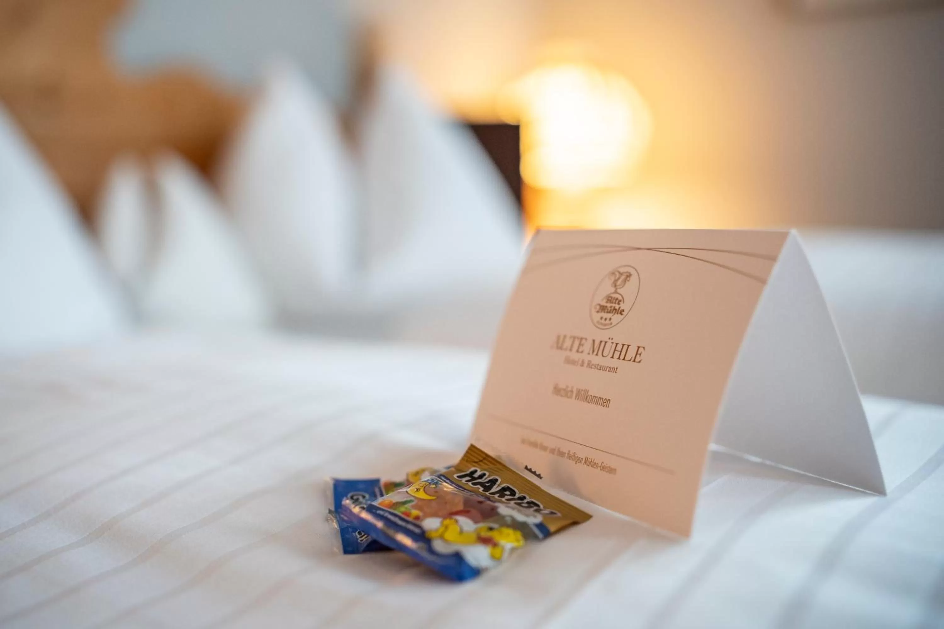 Photo of the whole room, Bed in Alte Mühle Hotel & Restaurant