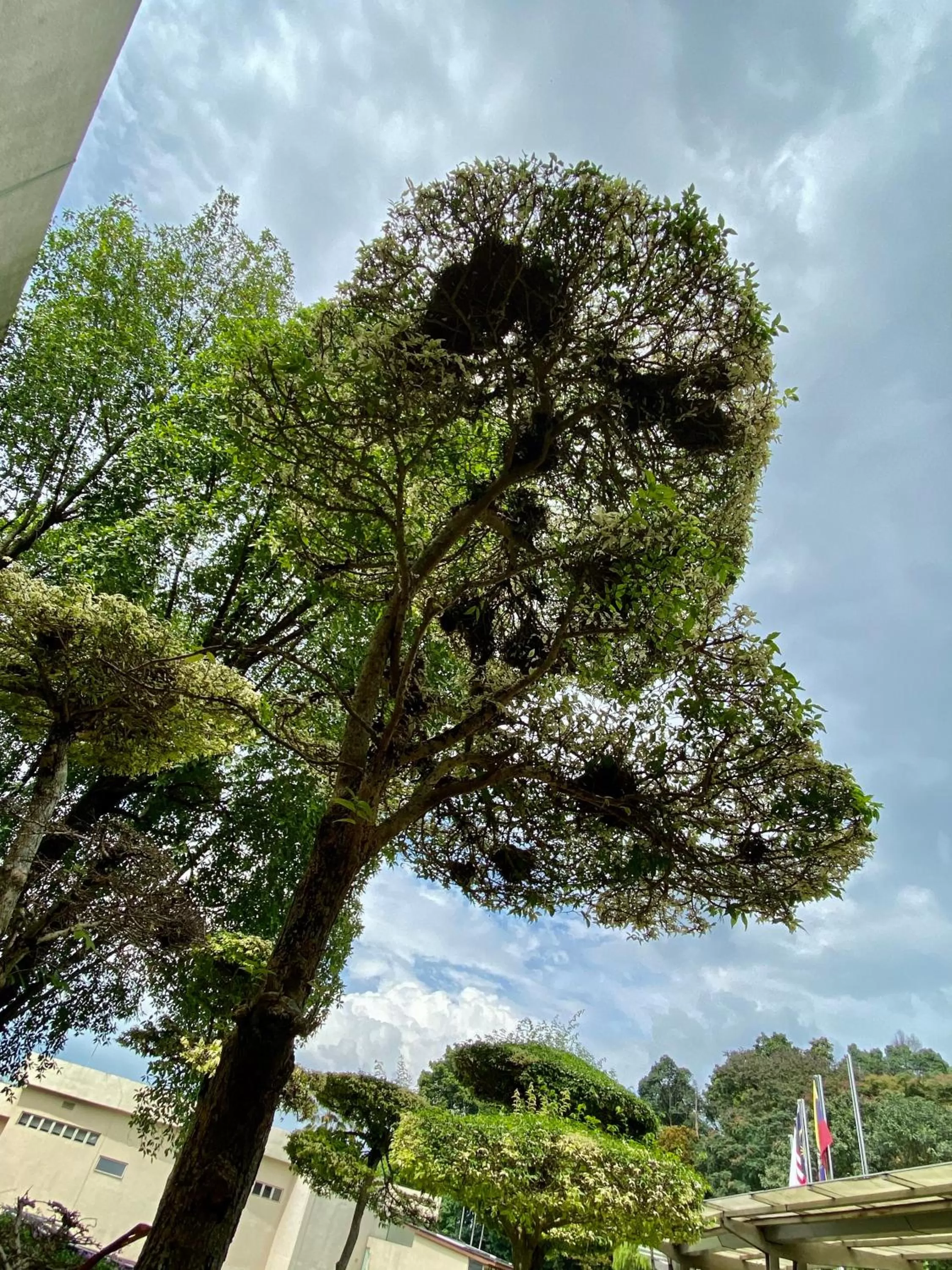 PULSE GRANDE Hotel Putrajaya