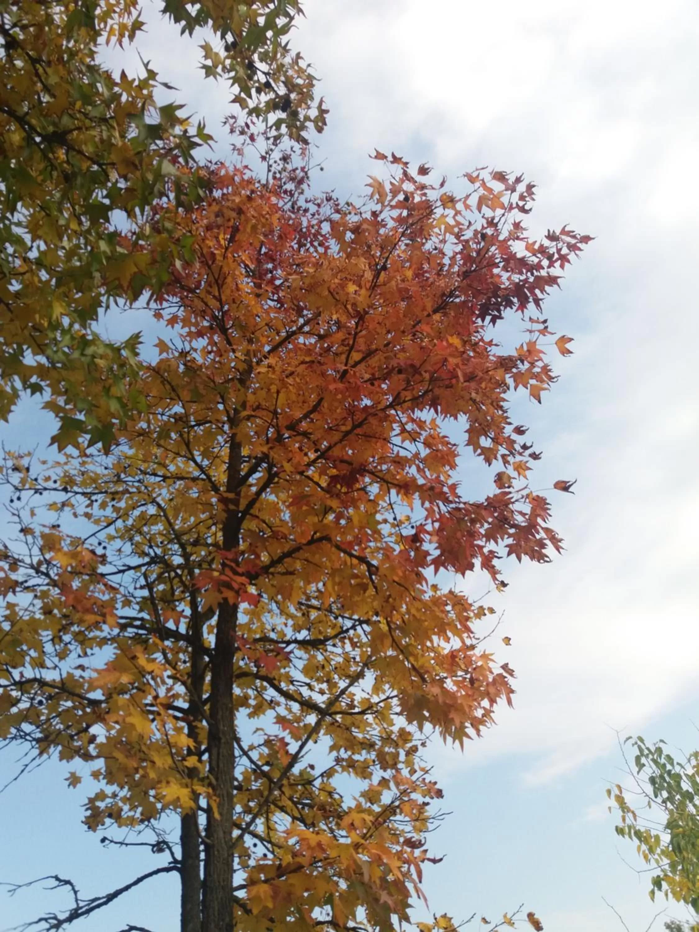 Garden in R&B un mondo a colori