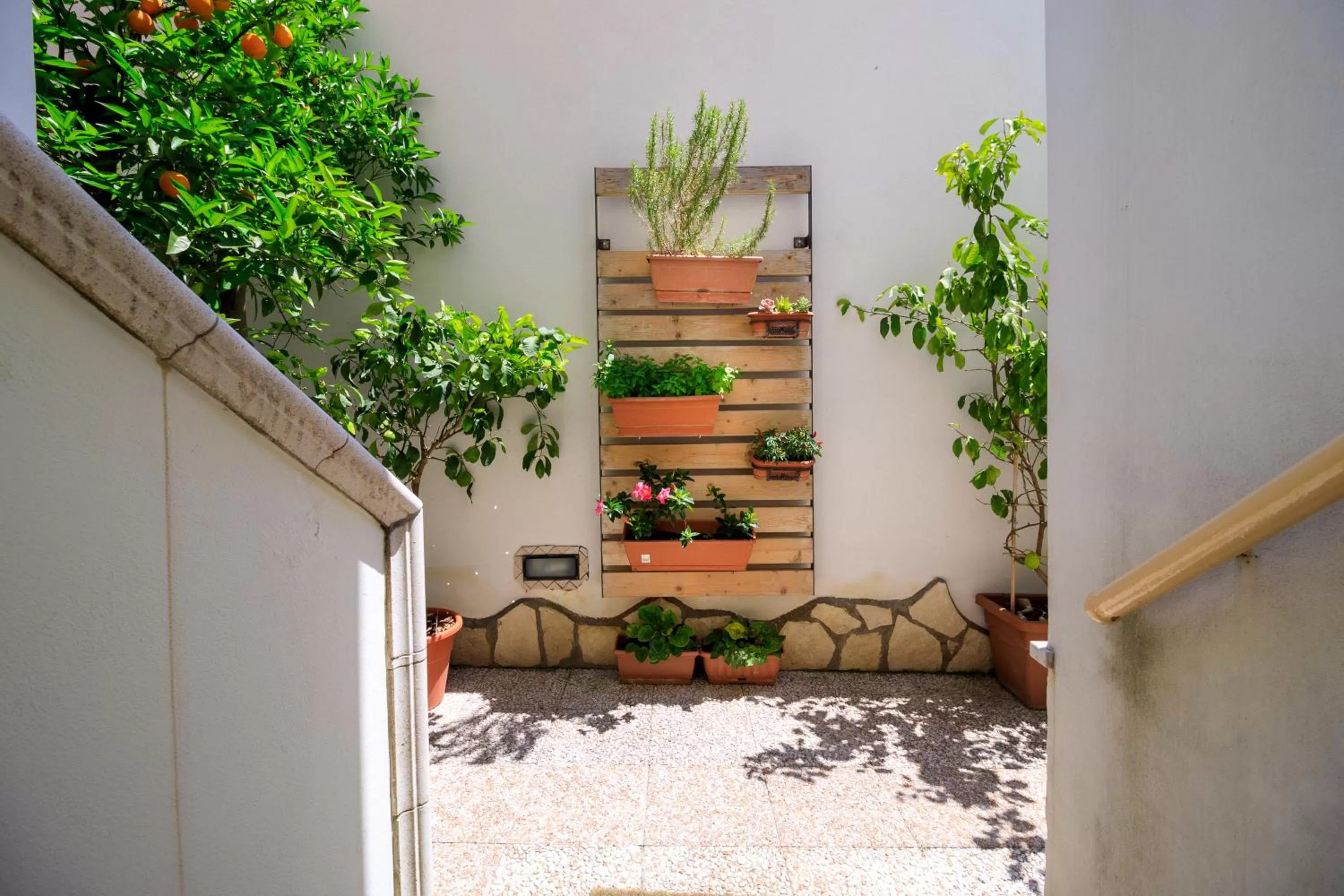 Garden in V&V Suite & Breakfast