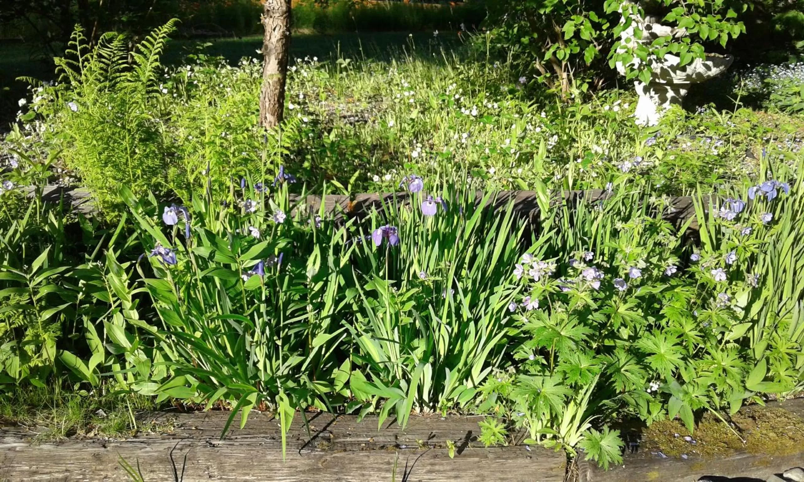 Garden in Alaska Chalet Bed & Breakfast