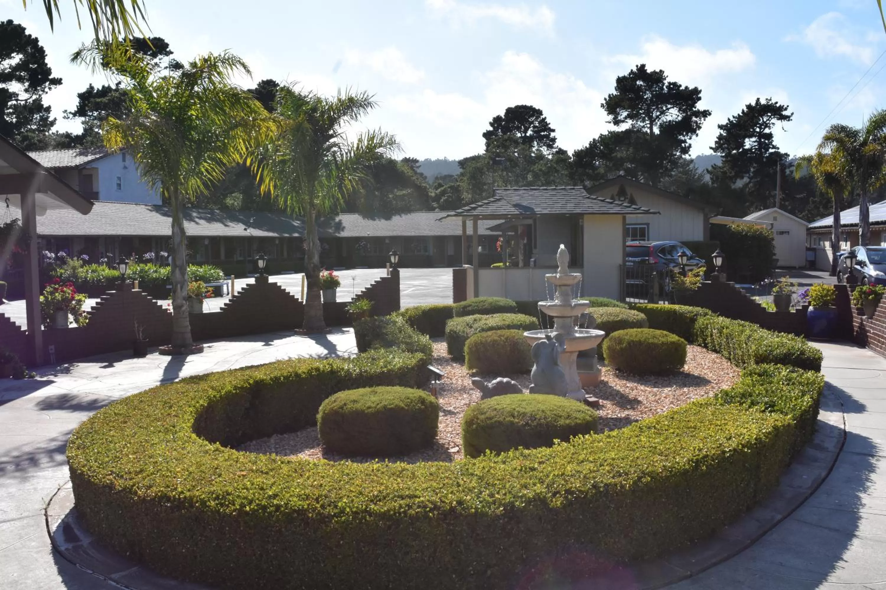 Garden in Padre Oaks