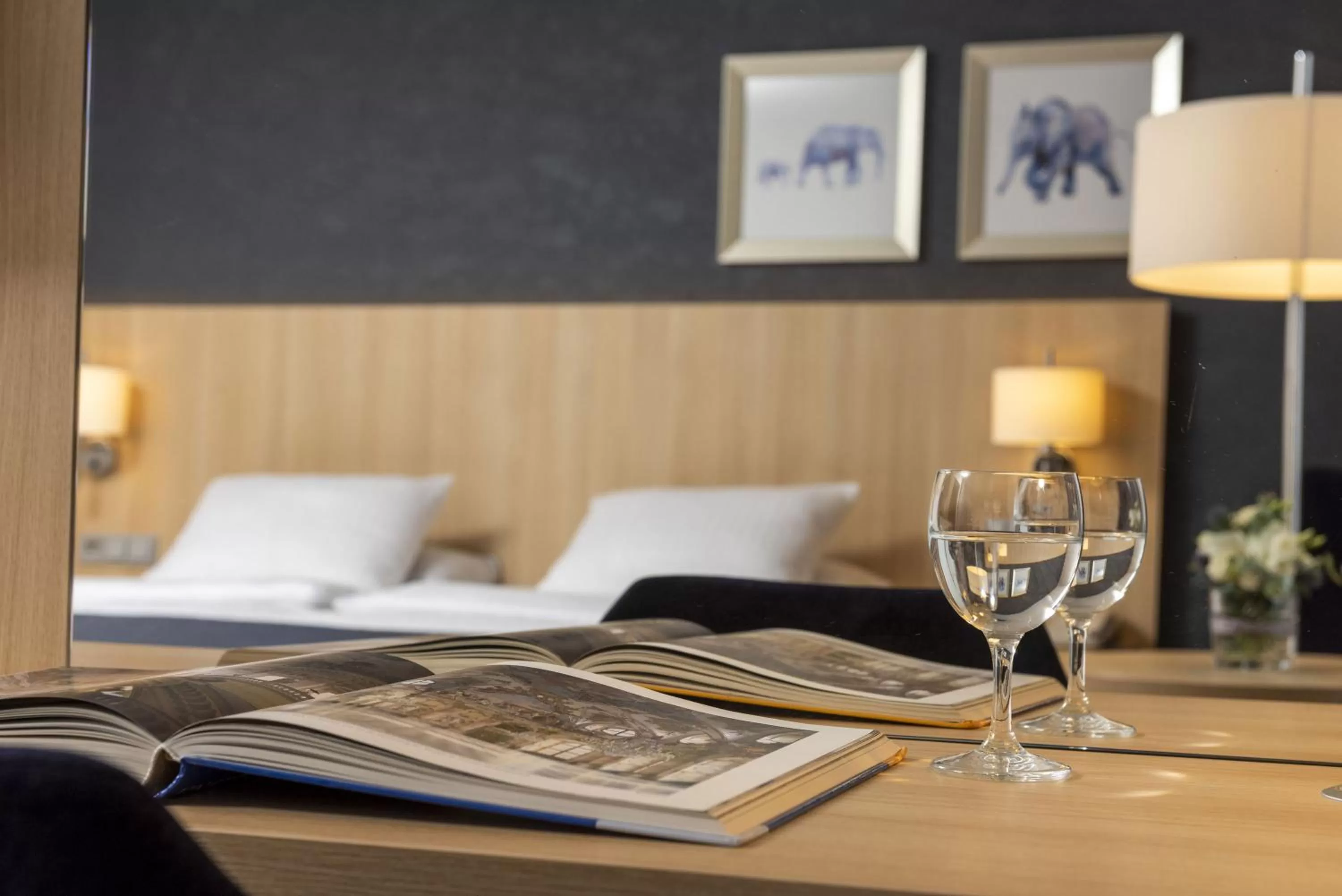 Comfort Single Room in Maritim Hotel Würzburg