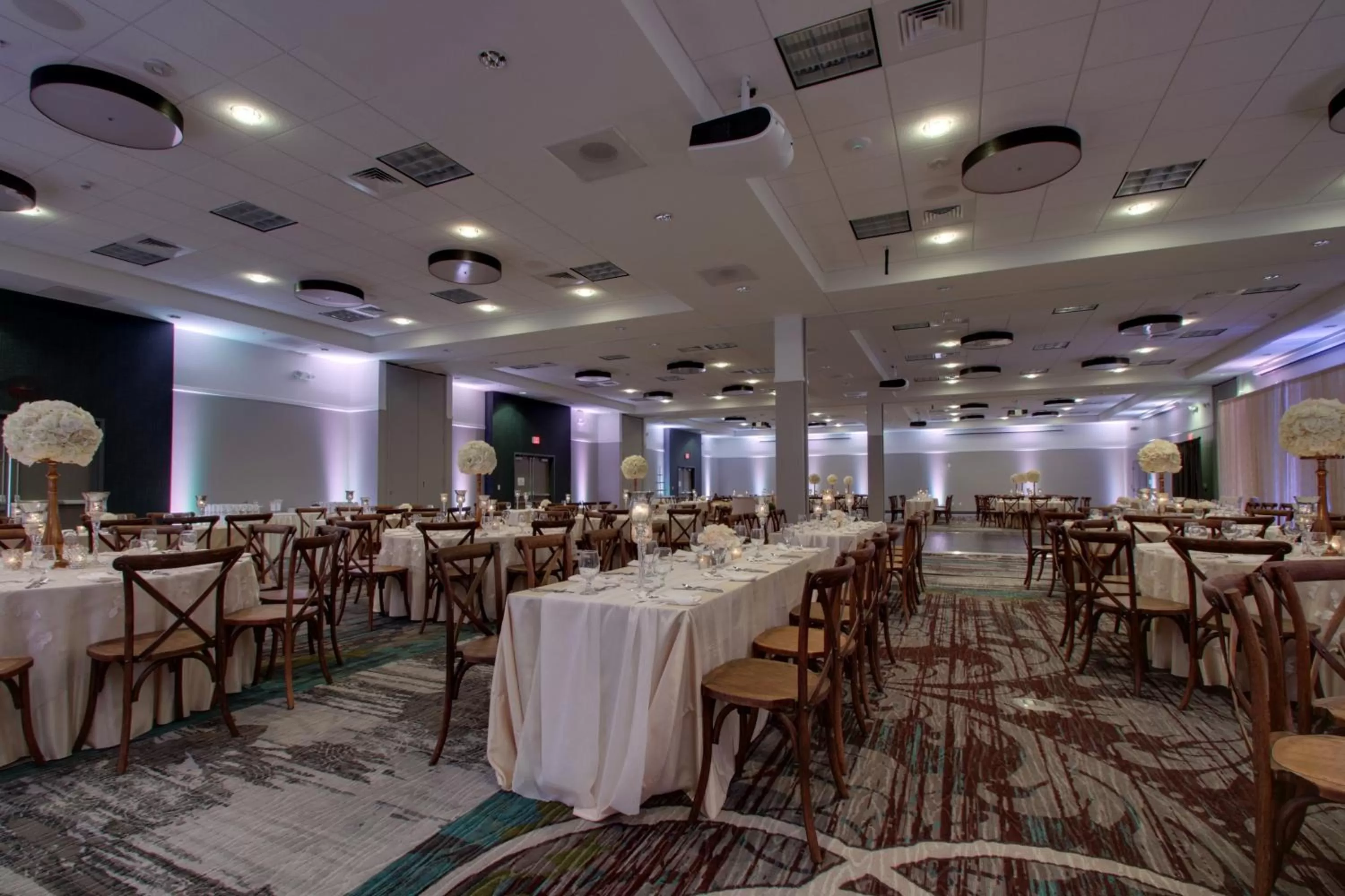 Banquet/Function facilities in Holiday Inn & Suites Peoria at Grand Prairie by IHG